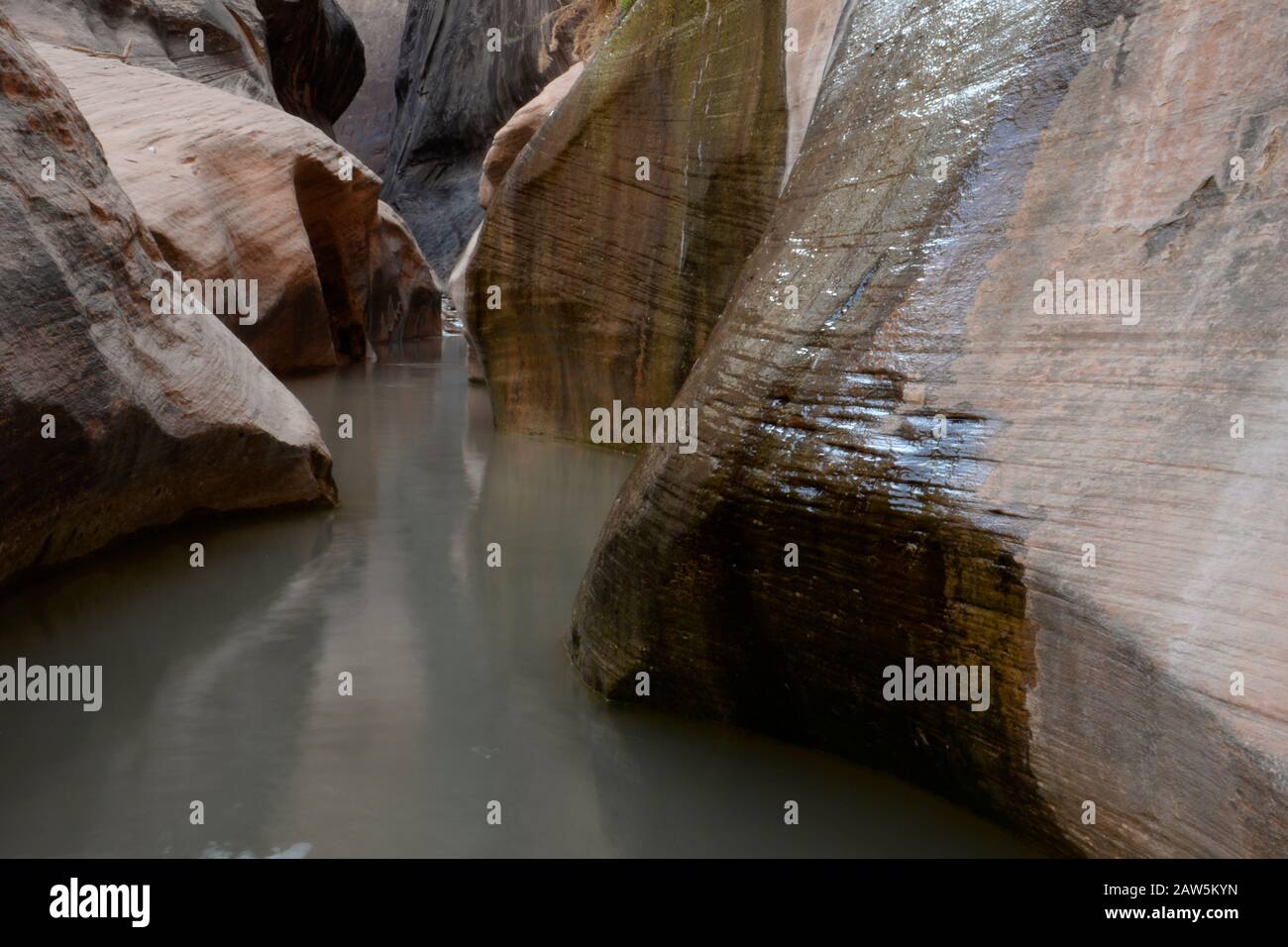 Überfluteter Durchgang in Halls Creek Narrows, Capitol Reef Backcountry. Stockfoto