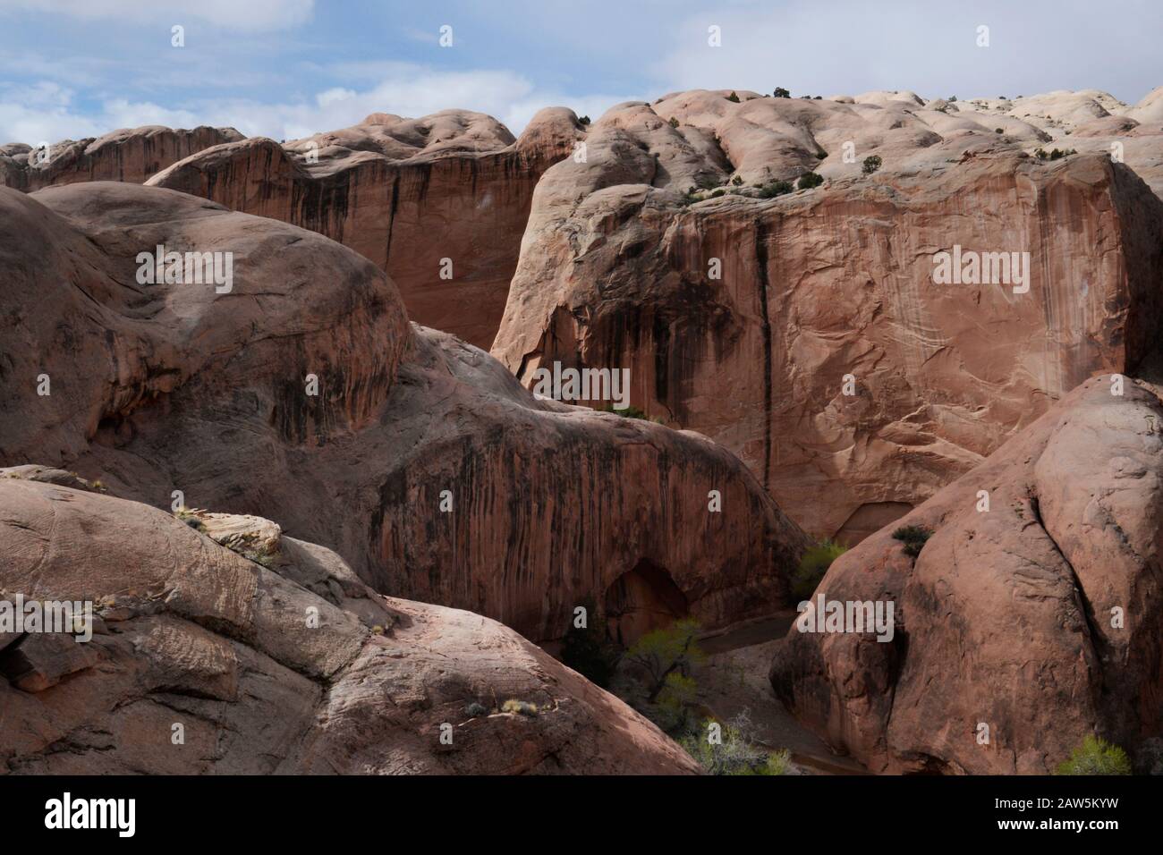 Halls Creek Narrows durchschneiden die Waterpocket Fold des Capitol Reef. Stockfoto