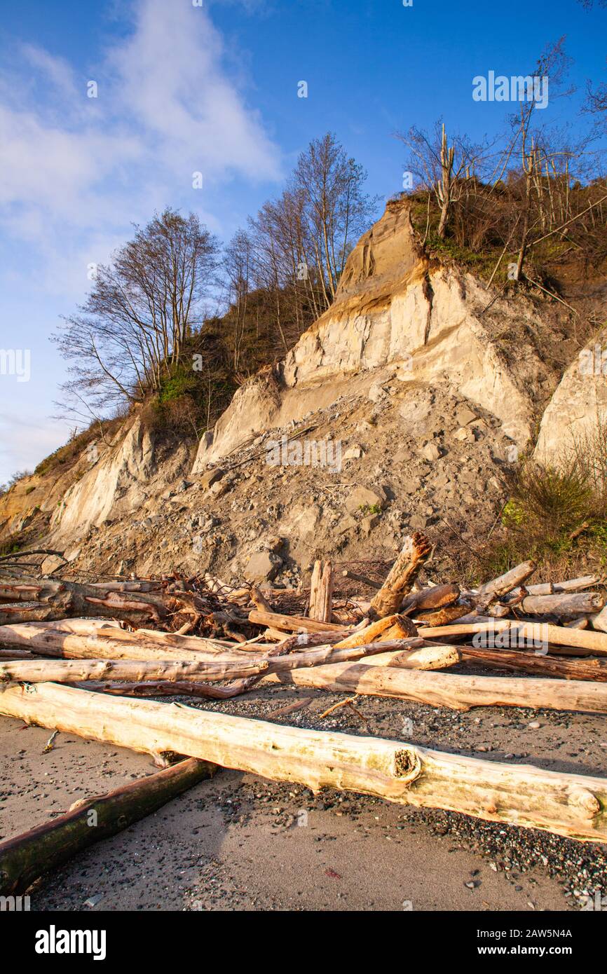 Schutz vor Erosion am Strand durch Holzstämme und Felsen auf Vancouver Island Stockfoto
