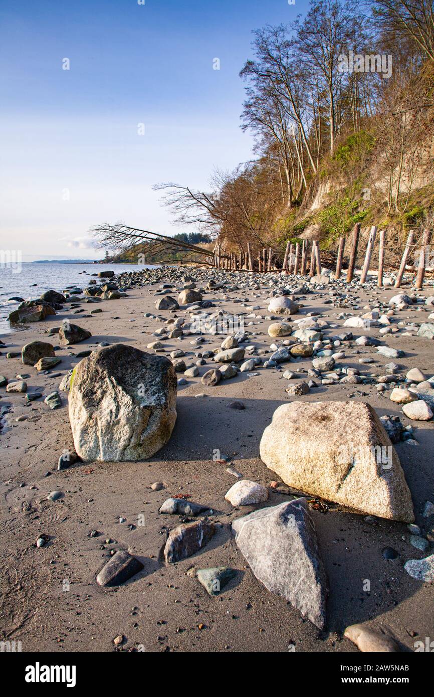 Schutz vor Erosion am Strand durch Holzstämme und Felsen auf Vancouver Island Stockfoto