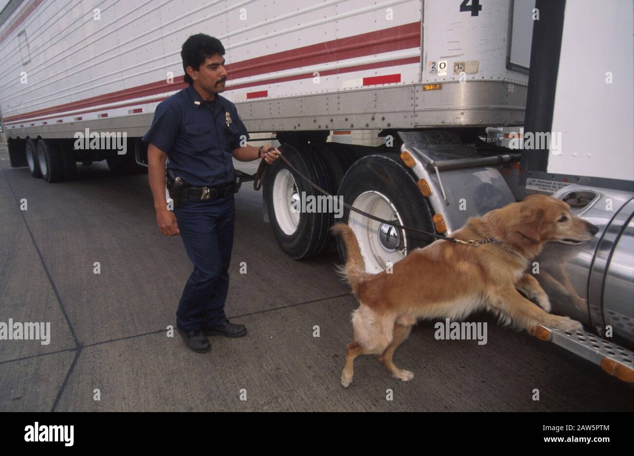 Der Zollagent der Vereinigten Staaten und sein Drogenfahndungshund suchen einen Traktoranhänger nach Drogen, illegalen Außerirdischen oder Schmuggelware, wenn er beim Grenzübergang USA-Mexiko in Brownsville, Texas in die Vereinigten Staaten eindringt. Stockfoto