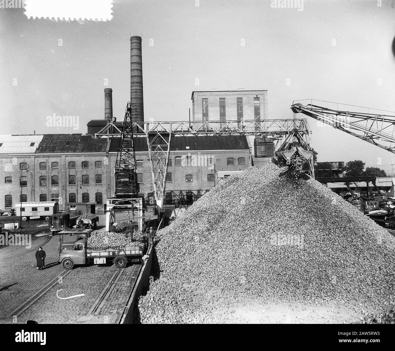 Zuckerrübenkampagne in vollem Gange (Midway); Stockfoto