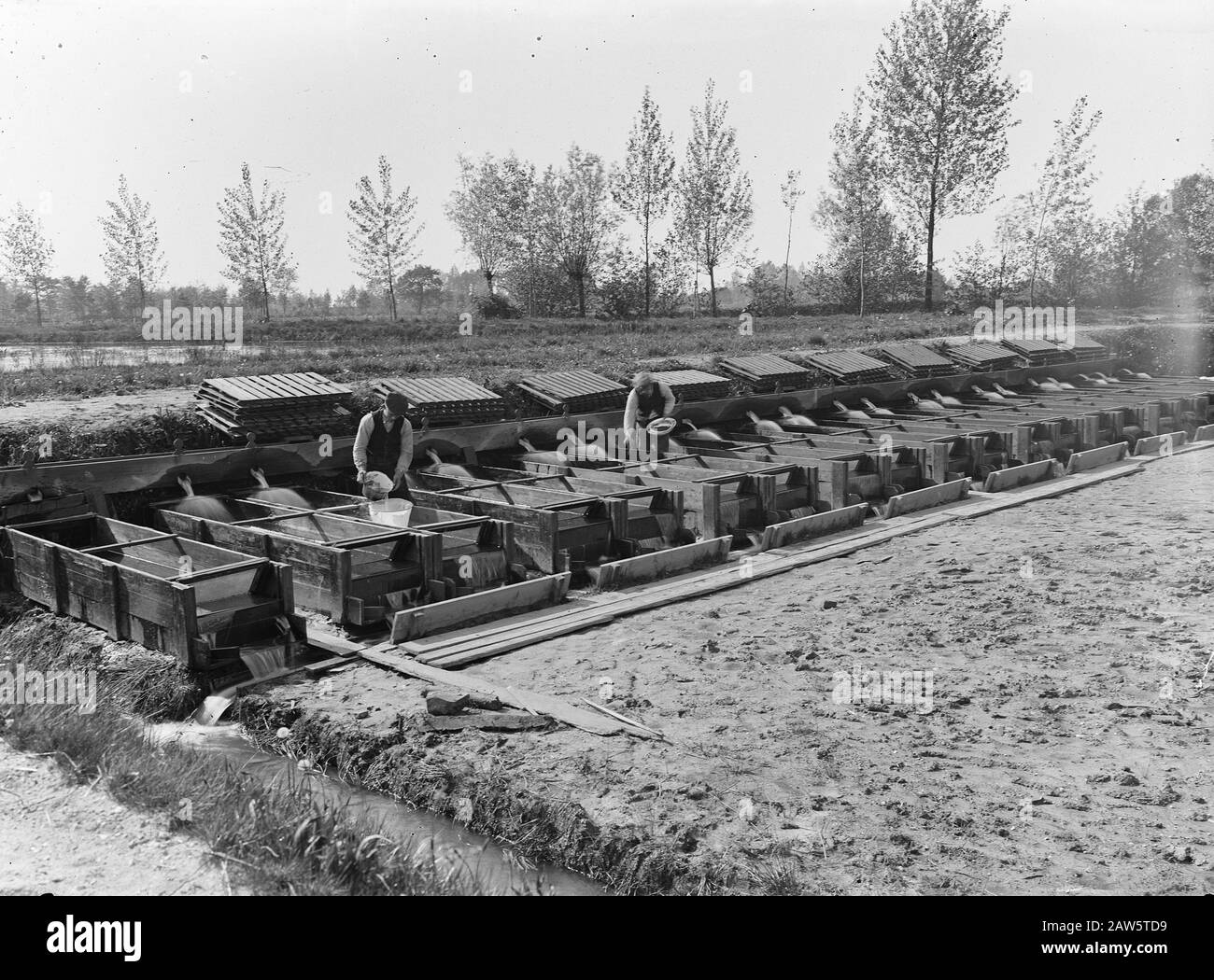 Bruttanks, Männer, t Smallert Datum: 1928 Stichwörter: Brutkästen, Personenname: T Smallert Stockfoto