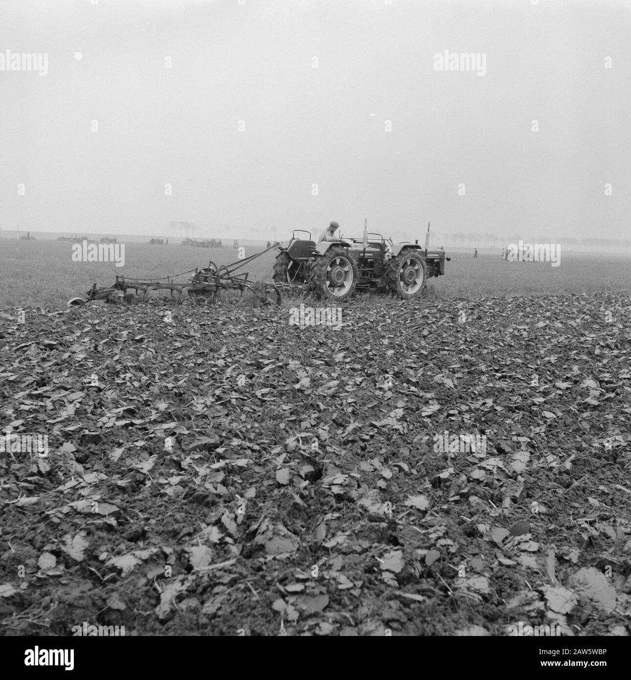 Nationalmannschaftsspiele in der Wilhelminapolder in Goes Date: 9. November 1960 Ort: Goes Keywords: Teamwettbewerb Stockfoto