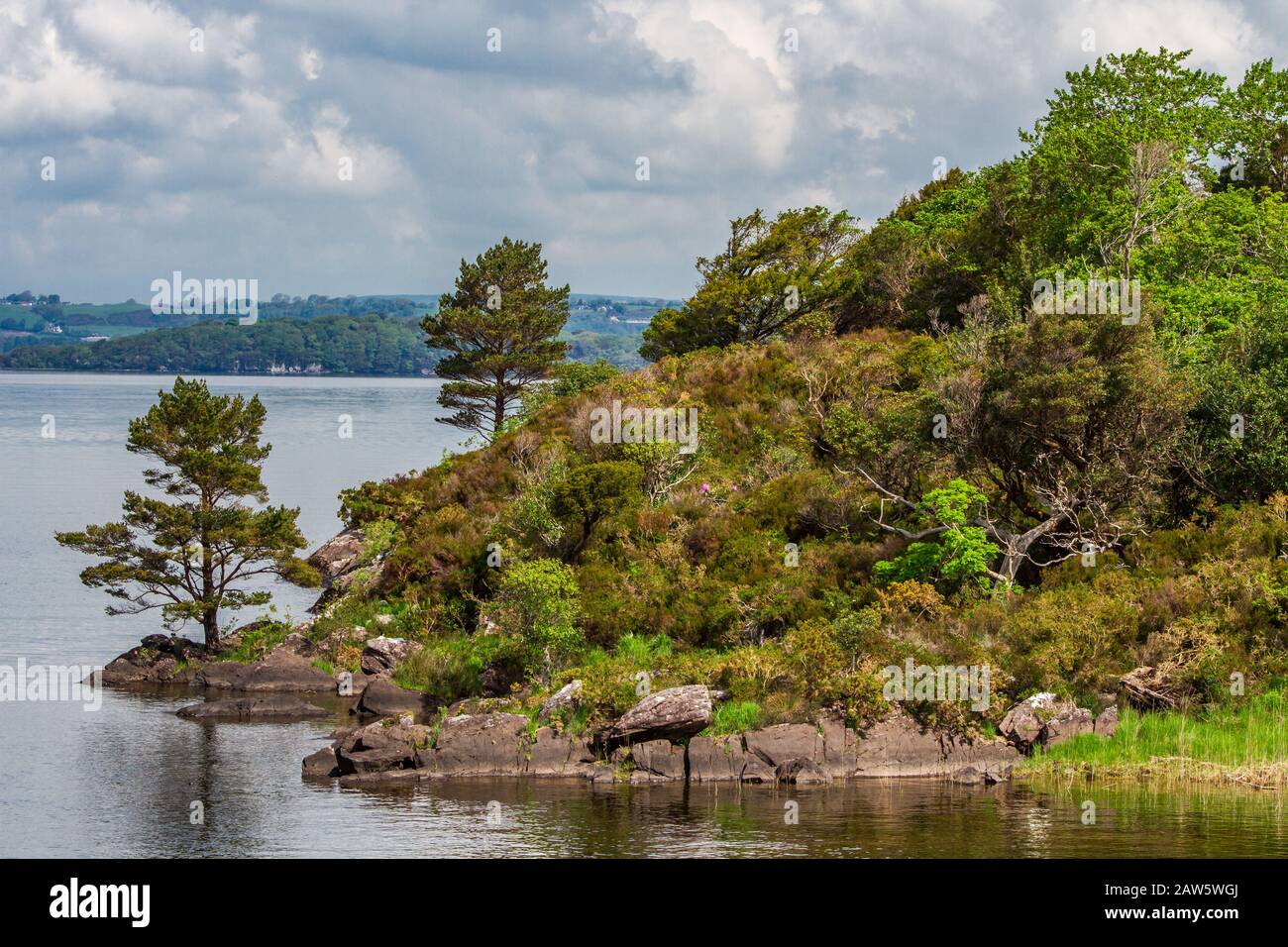 See von Lough Leane, Killarney National Park, County Kerry, Irland, Europa Stockfoto