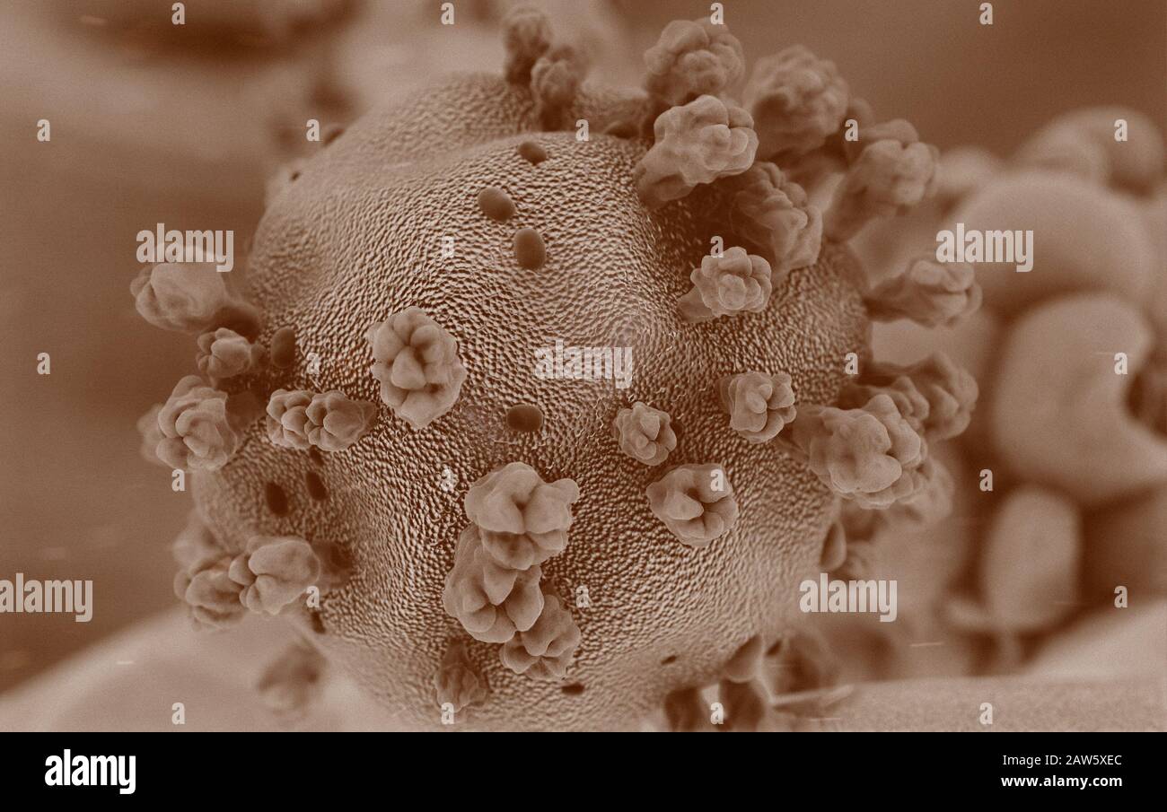 Wissenschaftliche Illustration des Coronavirus aus Wuhan, China. 3D-Rendering basierend auf mikroskopischen Bildern des Virus Stockfoto