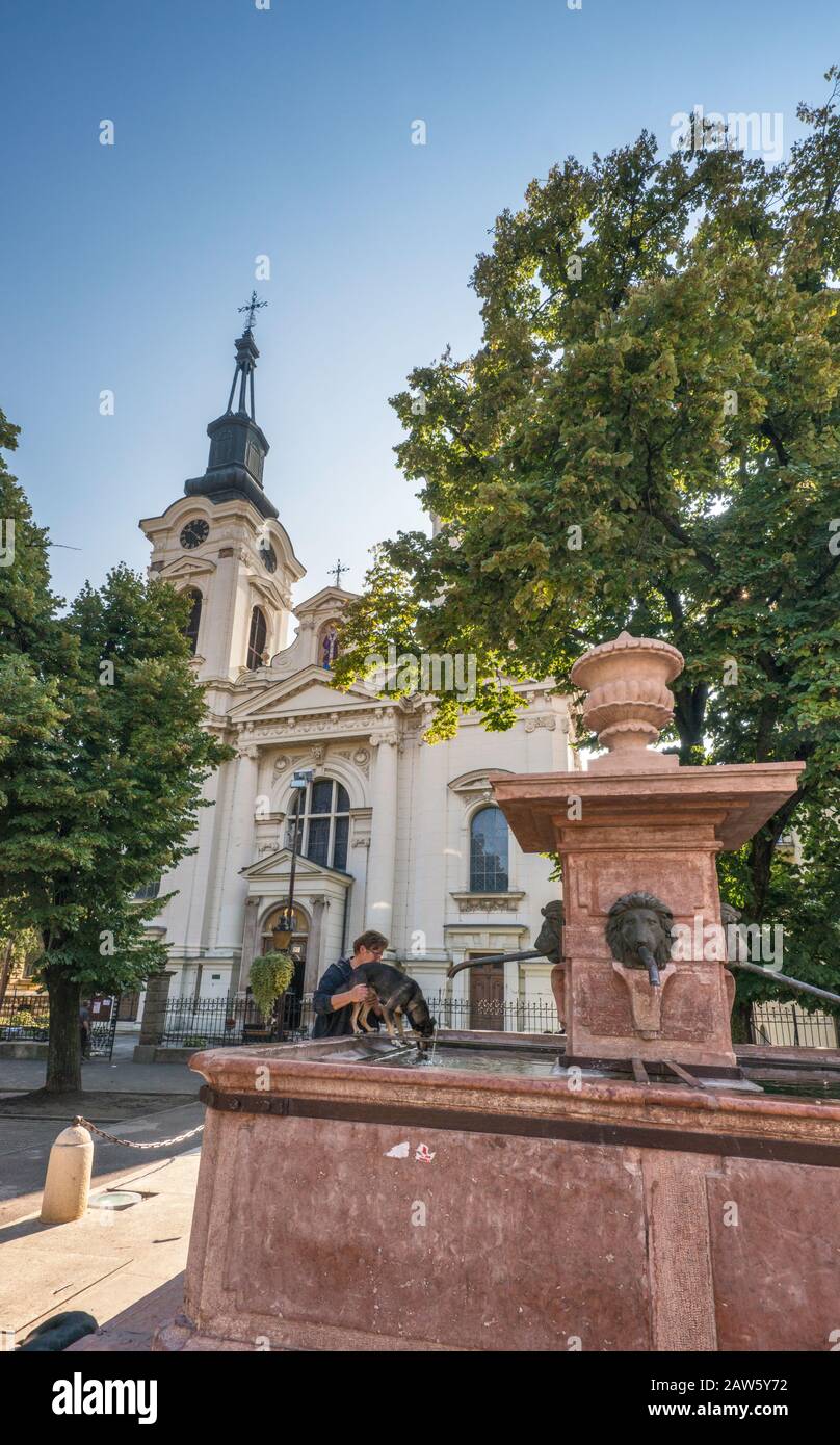 Brunnen der vier Löwen, im Stil des Barock, vor der orthodoxen Kathedrale St. Nikolaus, 1762, Sremski Karlovci, Vojvodina, Serbien Stockfoto