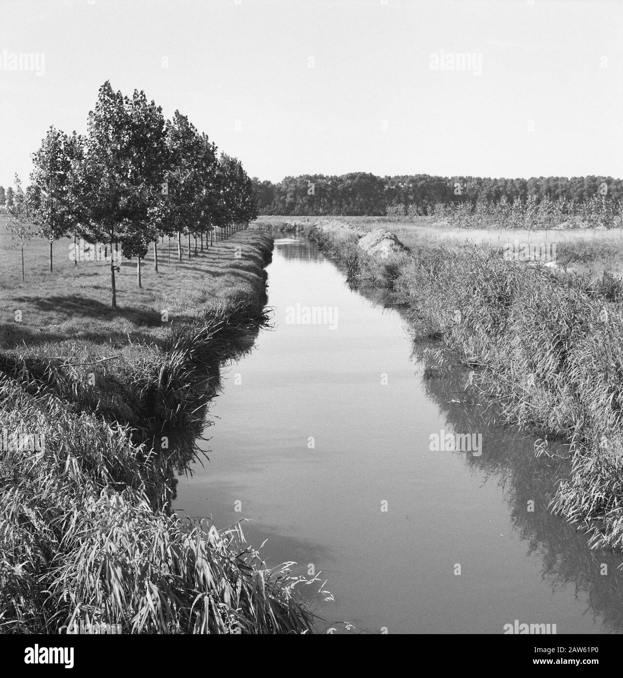 Normalisierung von Bächen, Graben und Einfüllen von Schützengräben, Legeabflüsse, Keule und Hecke, Flächen, Bodenkonsolidierung, flussabwärts, Bodenkonsolidierung essche aktuelles Datum: August 1962 Stichwörter: Taucher und Hecke, Gesichter, Graben und Einfüllen von Schützengräben, Legeabflüsse, Normalisierung von Bächen, Bodenkonsolidierung, Name der nachgeordneten Person: Landkonsolidierung Aschefluss Stockfoto