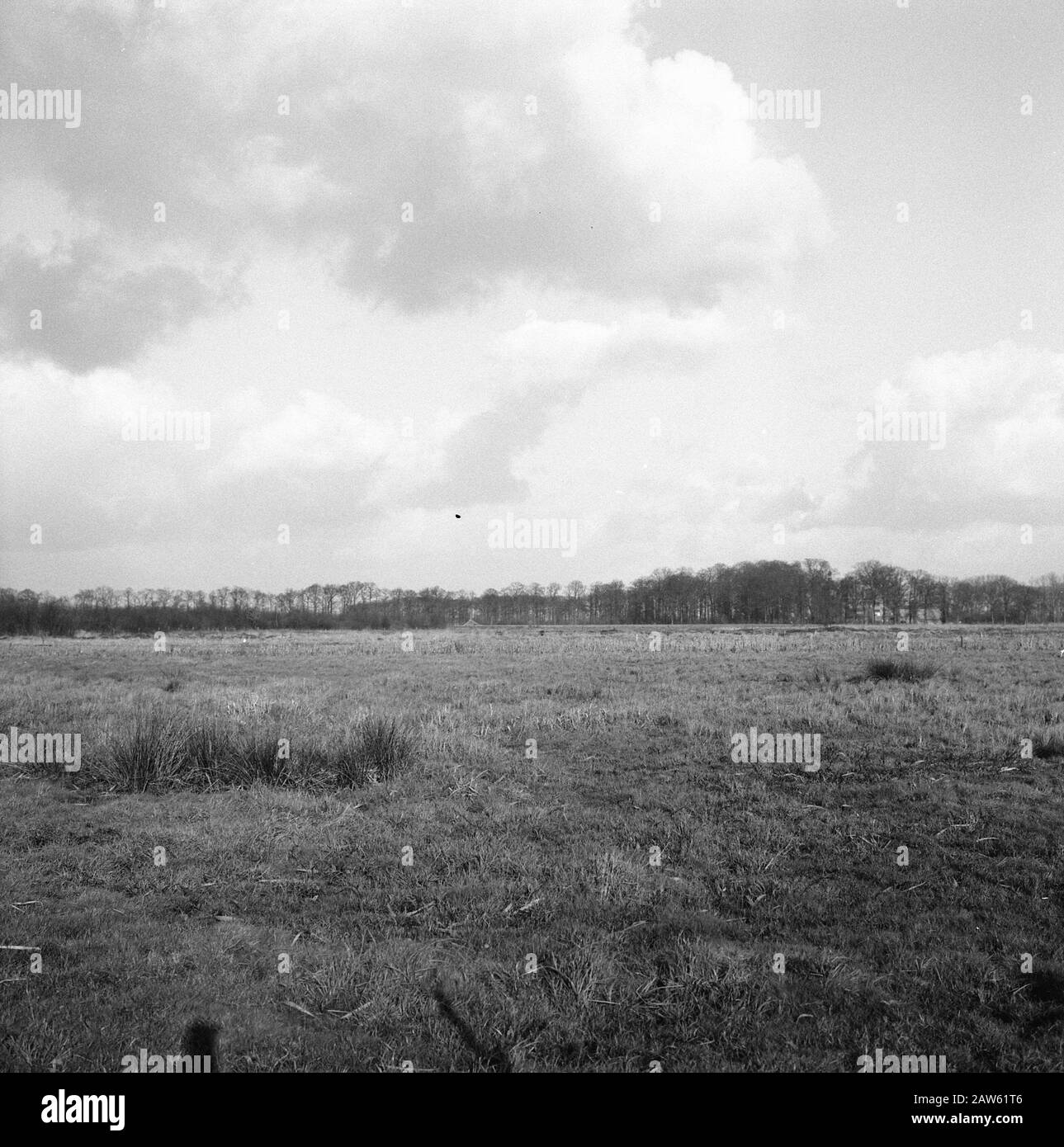 In der Nähe der Eisenbahn boxtel - Tilburg Datum: Februar 1964 Ort: Esch Schlüsselwörter: Taucher und Hecke, Graben und Einfüllen von Schützengräben, Burgen, Legeabflüsse, Normalisierung von Bächen, Karten, Bereiche Personenname: Nemerlaer Burg, Landkonsolidierung Aschefluss Stockfoto