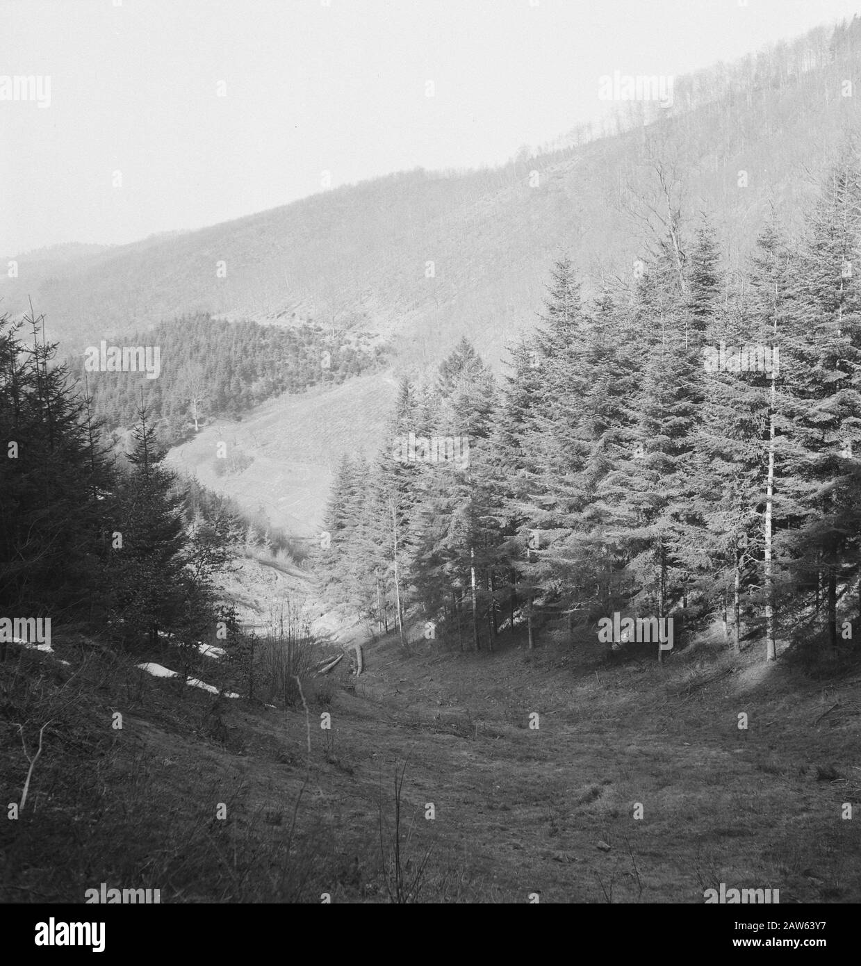 Vermessungsdatum: Undatierte Stichwörter: Vermessung Stockfoto