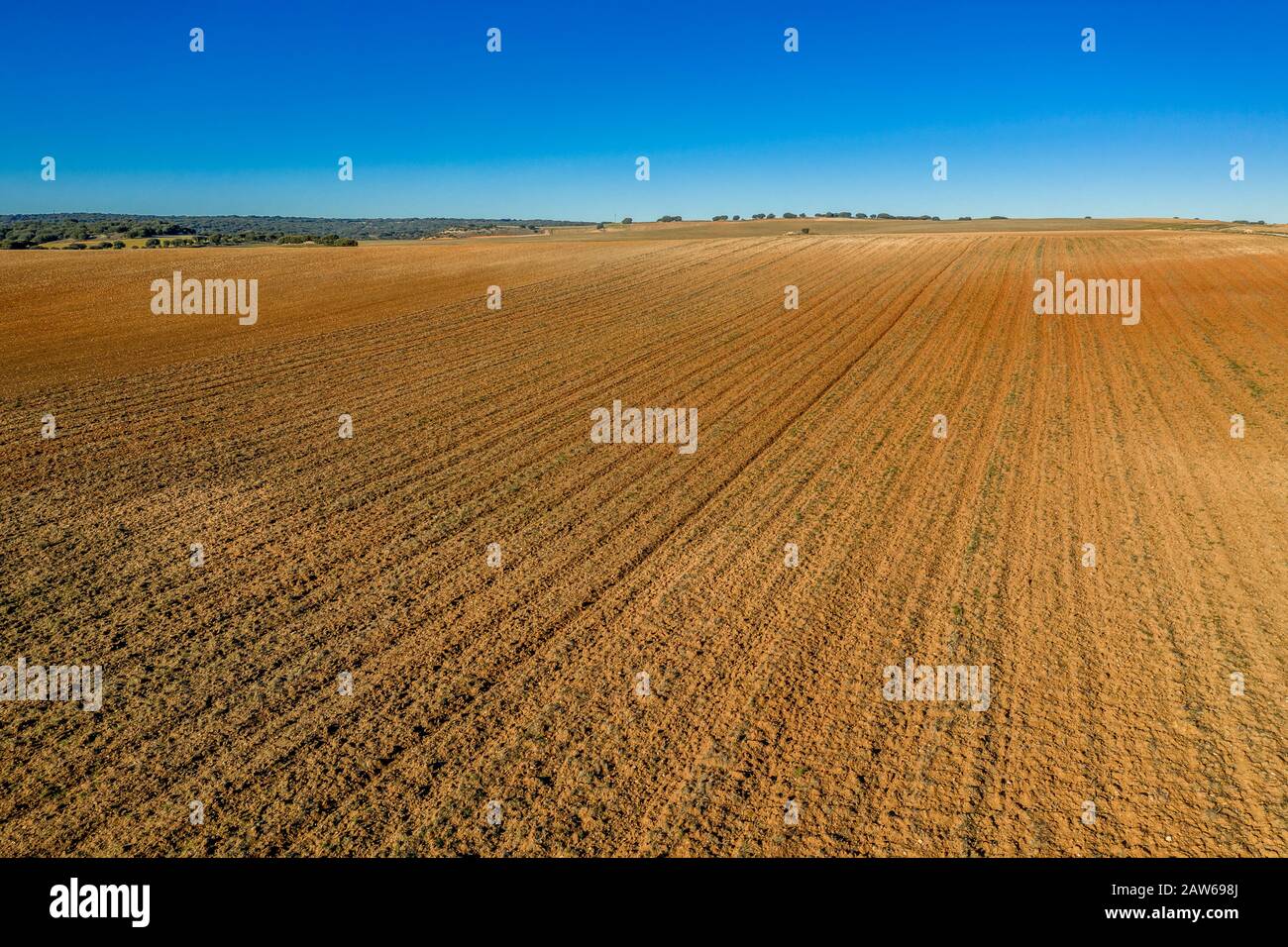 Blick auf die Reihen, die in Spanien zu einer landwirtschaftlichen Nutzfläche zerkratzt sind Stockfoto