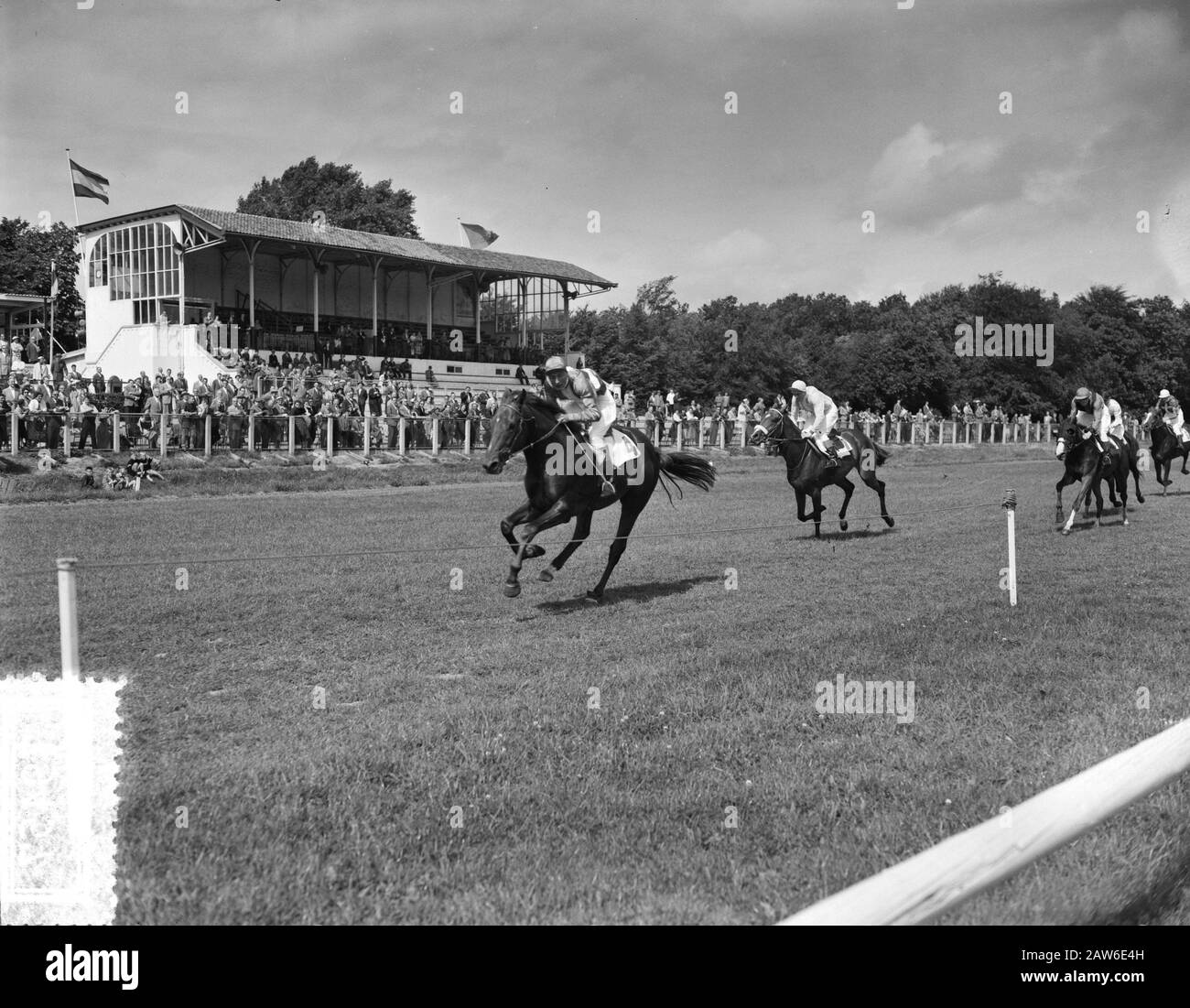 Pferderennen auf Duempelt Datum: 12. August 1956 Ort: Den Haag, South Holland Institution Name: Duempt Stockfoto