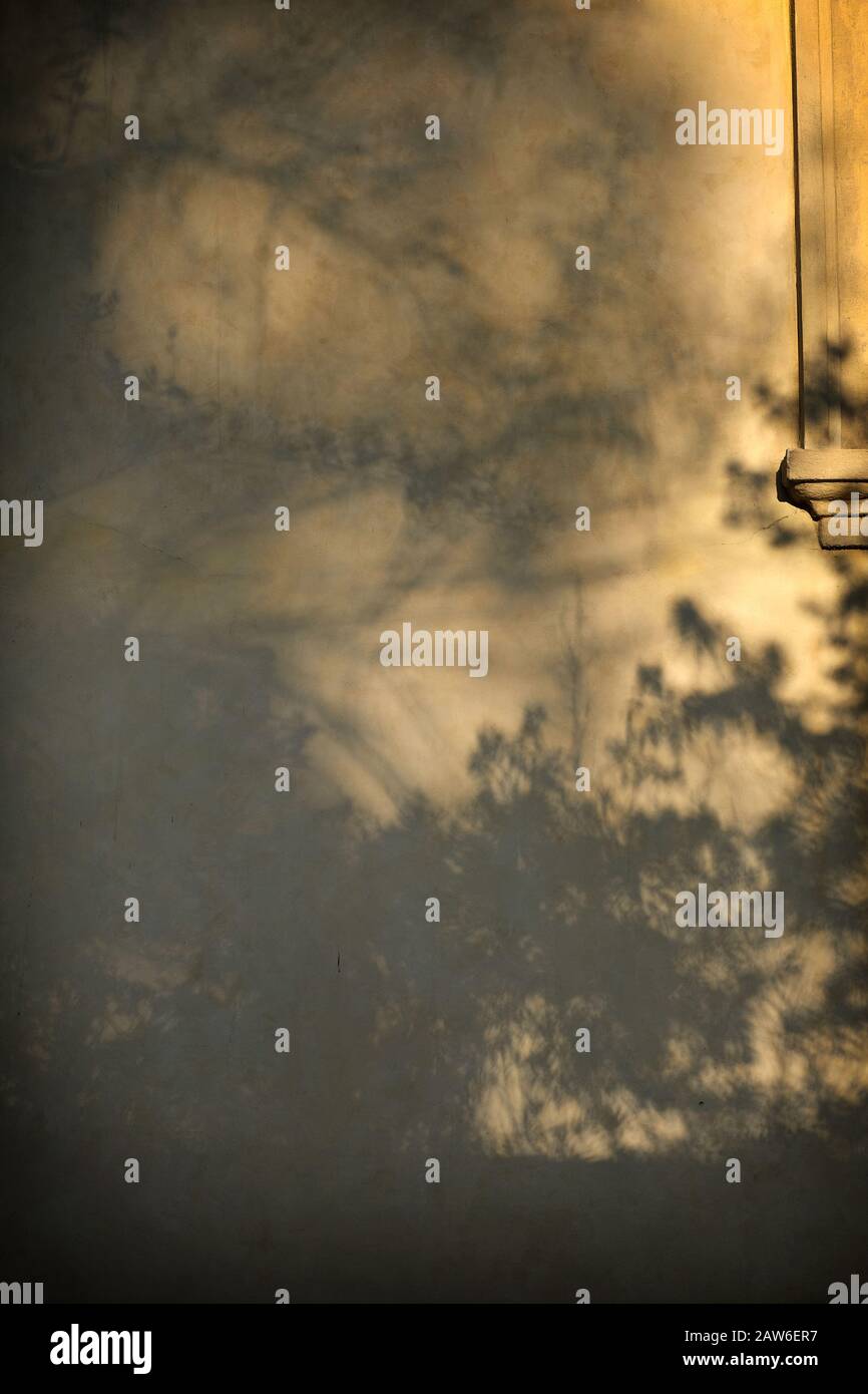 Eine natürliche Zoetropen-Kinoprojektion, ein Laktürenwerk aus Blättern und Baumschatten an einer gelben Wand am Kampa-Park, Prag, Park Stockfoto