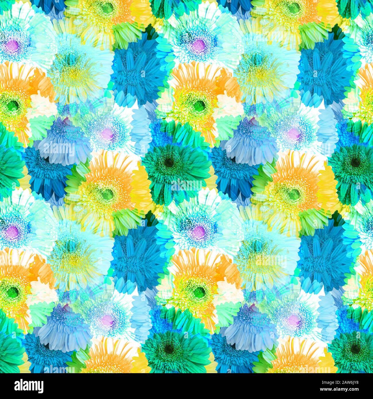 Nahtloses Muster aus blauen und gelben Gerbera-Blumen, lebendiges sommerliches Blumenornament, abstrakte gerberblumentextur, Kunsttapete, trendiger Druck Stockfoto