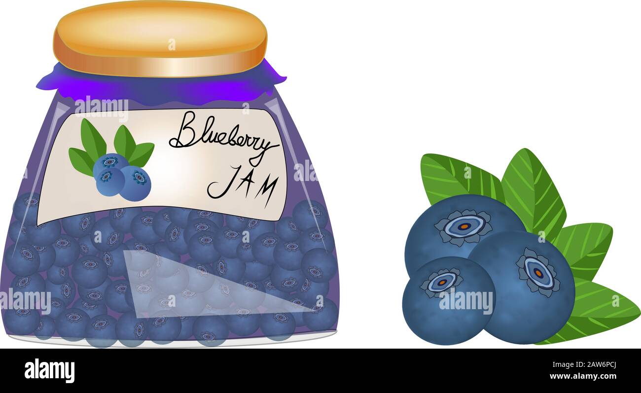 Glasbecher mit Blaubeerbenstau isoliert auf weißem Hintergrund. Marmelade in einem Krug aus reifen saftigen Blaubeeren, frischen Beeren mit Blättern. Etikett für Stau. Vektor Stock Vektor