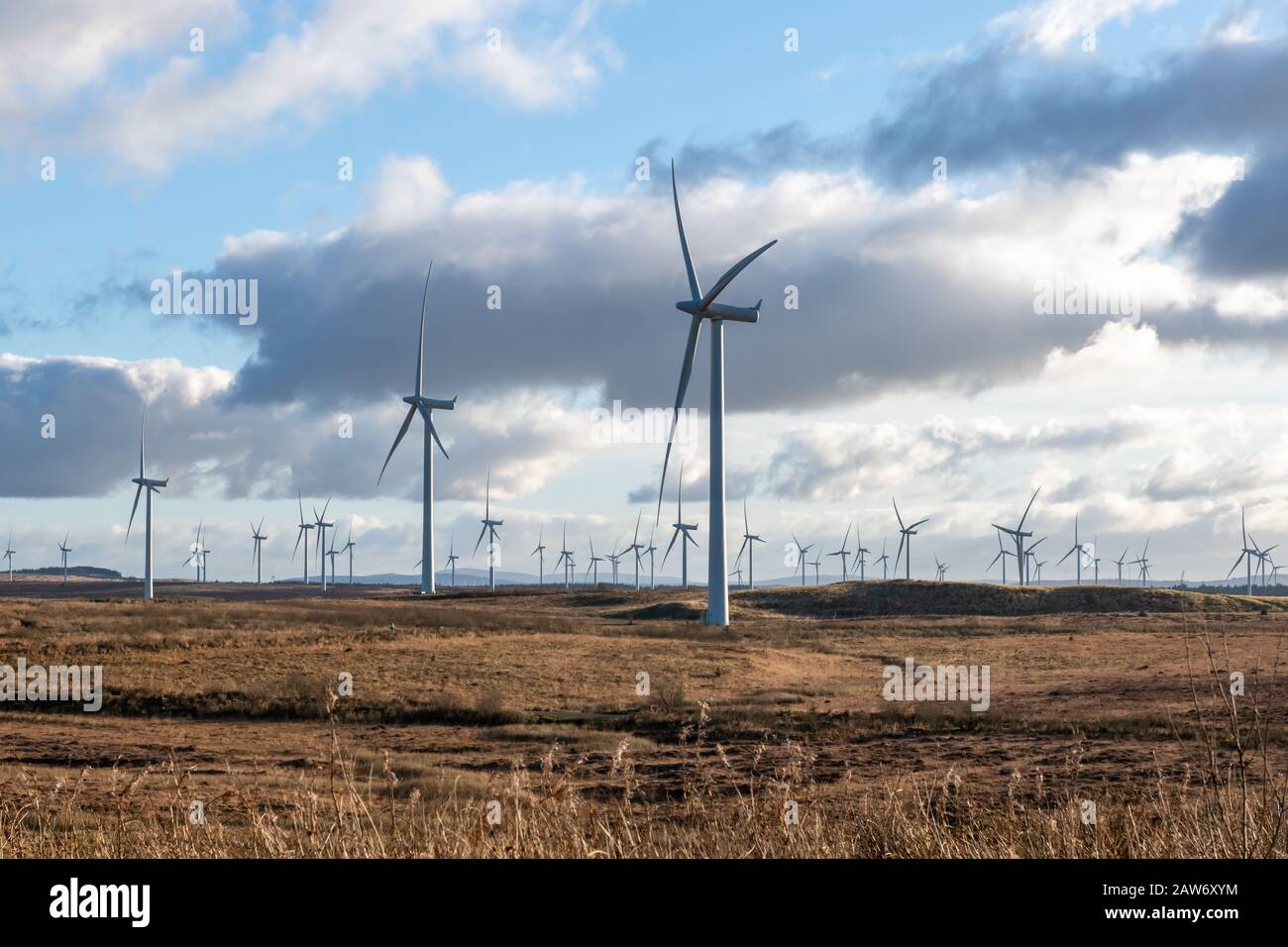 Die von Scottish Power betriebenen Windfarmturbinen in Whitelee auf dem größten Onshore-Windpark in East Renfrewshire in der Nähe von Glasgow, Schottland, Großbritannien, Stockfoto