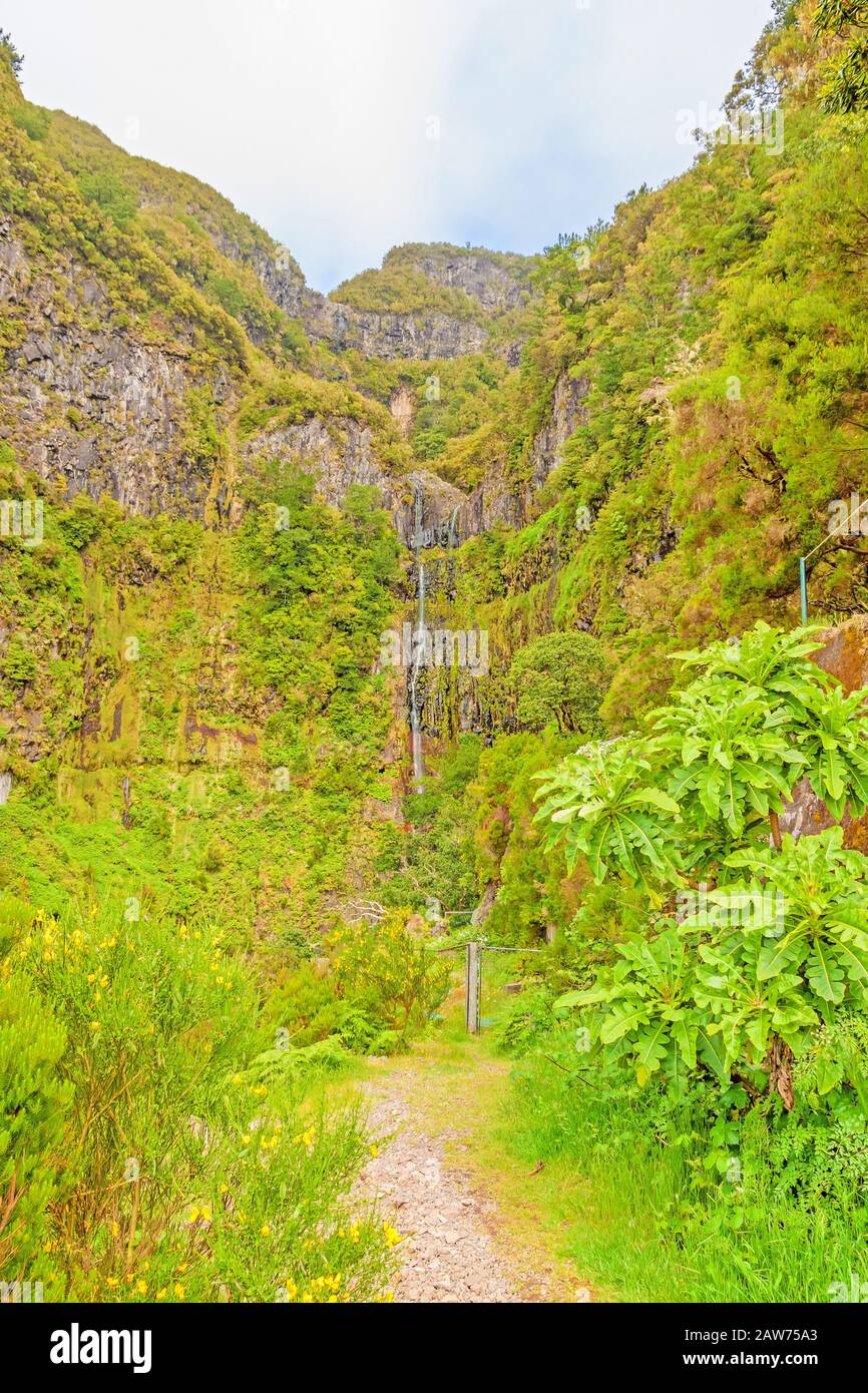 Blick auf 25 Fontes (25 Springbrunnen Wasserfälle) und grünliche Waldlandschaft auf Madeira, der Wander- und Blumeninsel Stockfoto