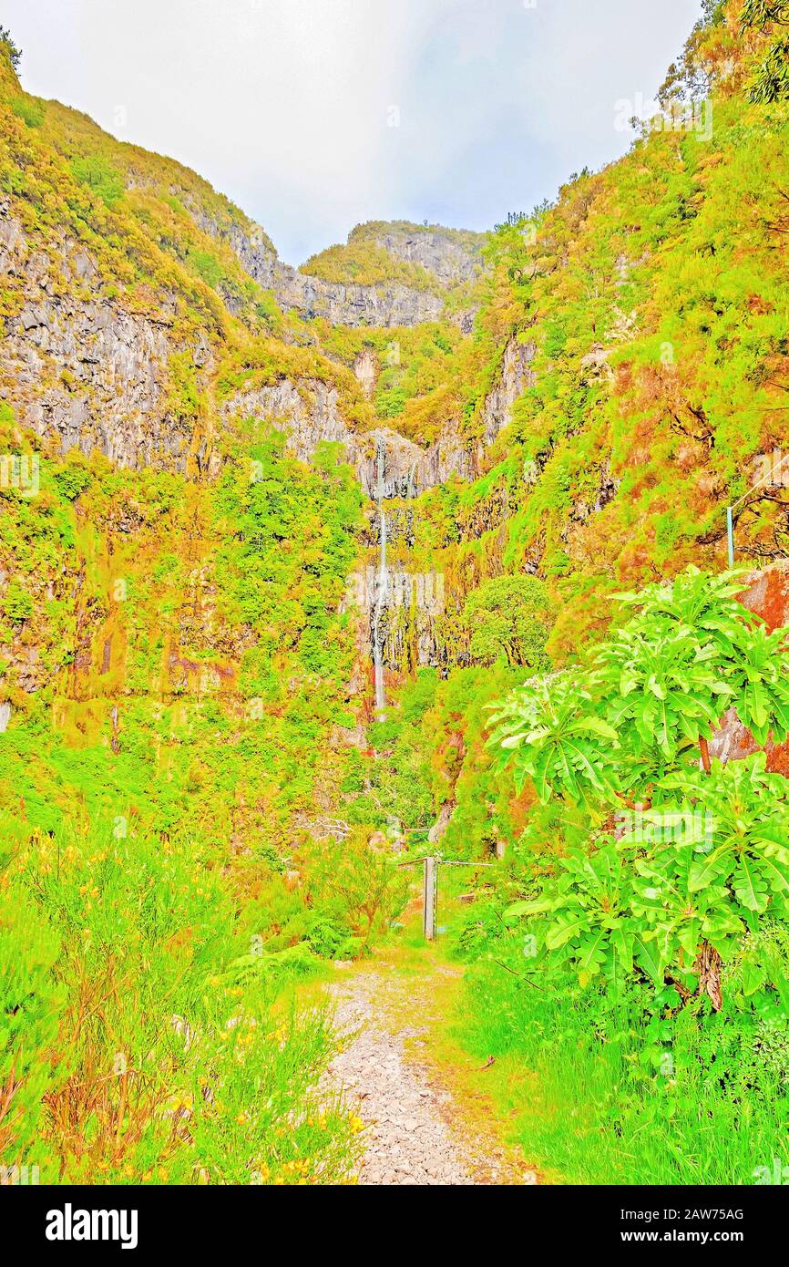 Blick auf 25 Fontes (25 Springbrunnen Wasserfälle) und grünliche Waldlandschaft auf Madeira, der Wander- und Blumeninsel Stockfoto