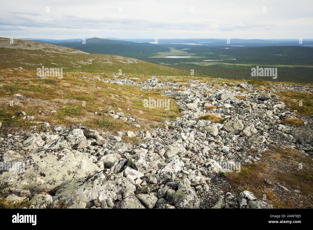 Schöner Panoramablick von einem fiel über Wälder, Seen und Sümpfe Lapplands. Pallas-Yllastunturi National Park, Finnland. Stockfoto