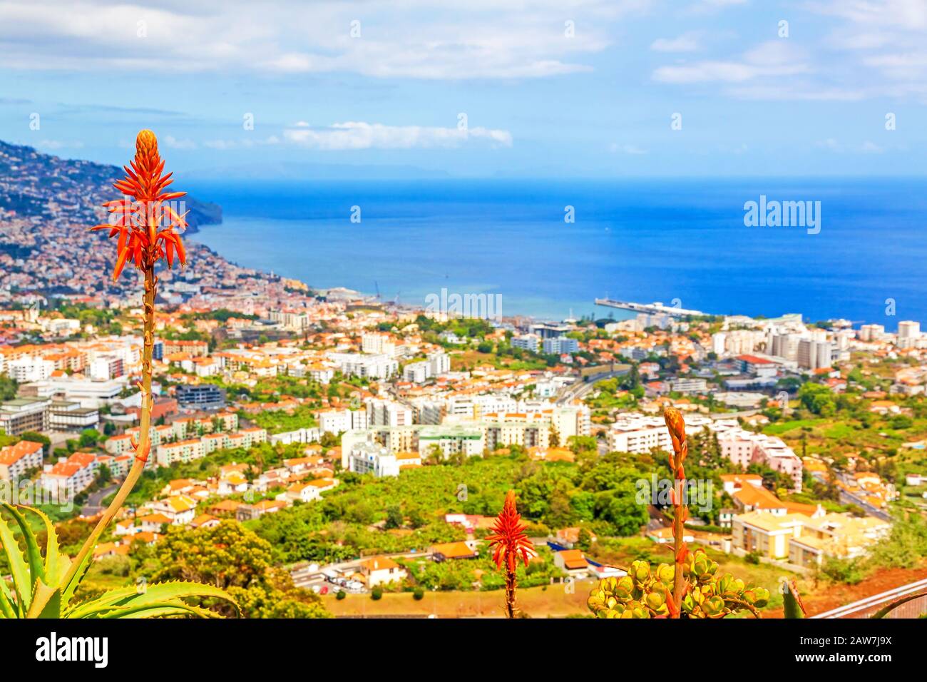 Südküste von Funchal - Blick über die Hauptstadt Madeiras in Richtung Hafen mit typischen madeiran-blumen im Vordergrund. Blick von Pico dos Barc Stockfoto