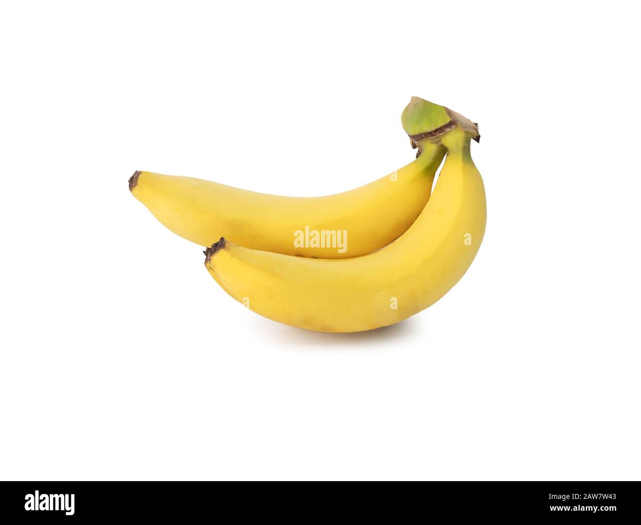 Bananenbündel isoliert auf weißem Hintergrund, Studioaufnahme Stockfoto