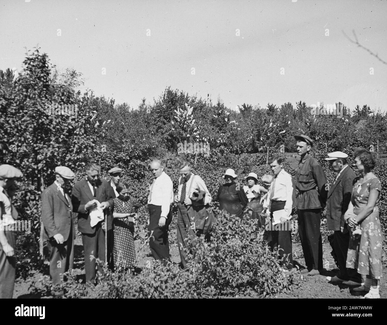 Versuchsgarten mit Obstbäumen (für Sibirien) Datum: Undatierter Ort: Russland Stichwörter: Reise nach russland Stockfoto