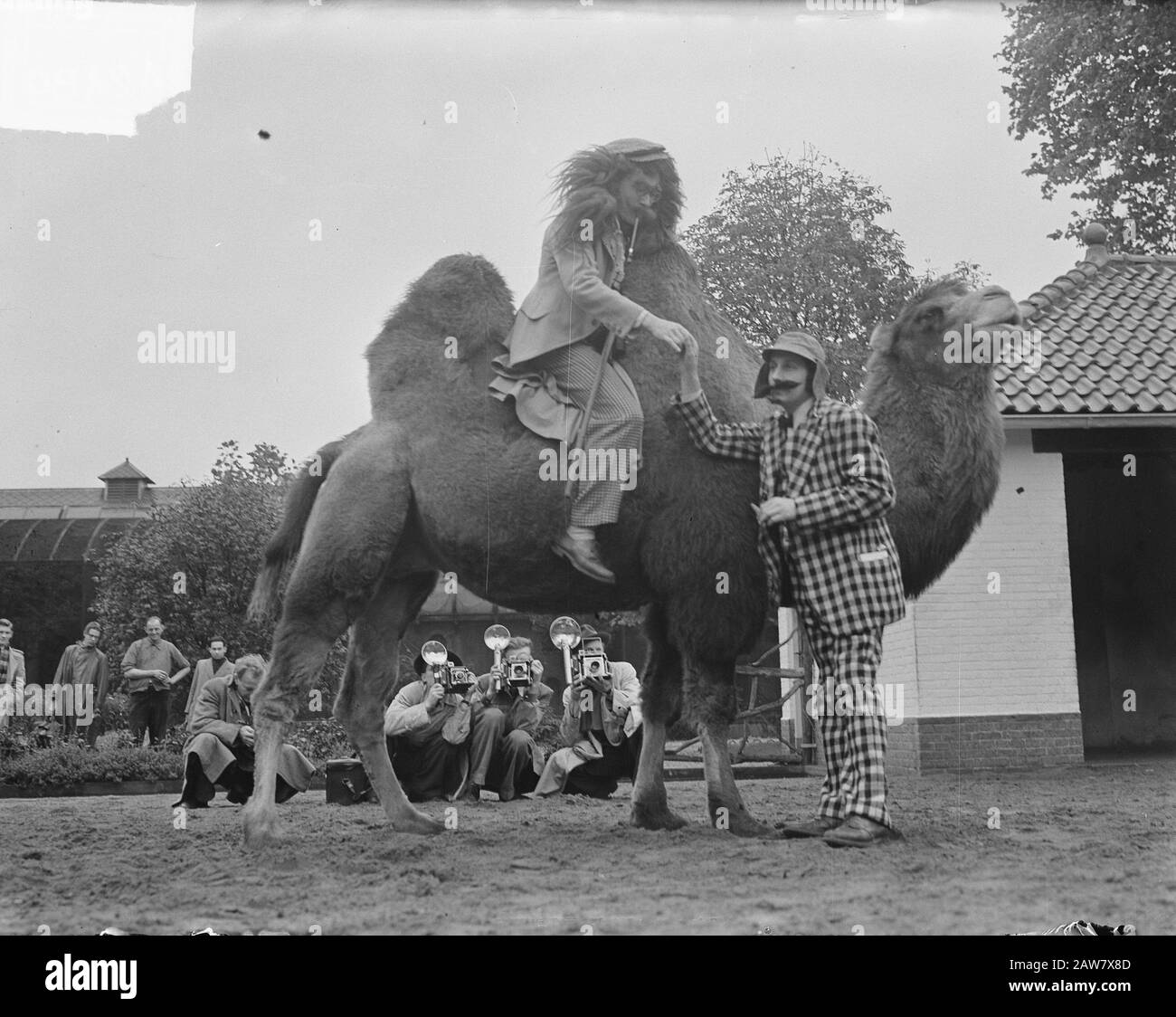 Student Photographers Prüfung in Amsterdam Datum: 17. Oktober 1950 Standort: Amsterdam, Noord-Holland Schlüsselwörter: Prüfungen, FOTOGRAFEN, Studenten Stockfoto