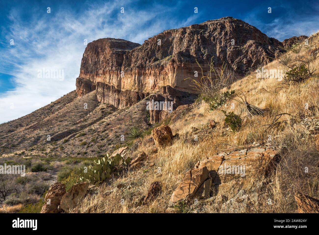 Burro Mesa massiv, Chihuahuan Wüste, Big Bend National Park, Texas, USA Stockfoto