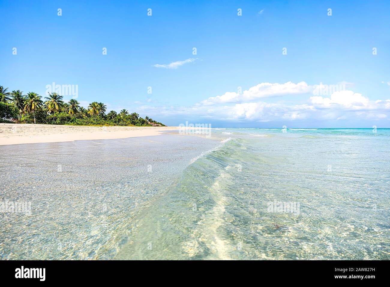 Karibischer türkisfarbener Strand perfektes Meer sonniger Tag. Tropische Landschaft mit klarem Wasser im Ozean. Stockfoto