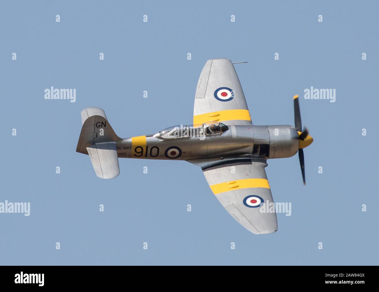 Hawker Sea Fury Aircraft auf der Little Gransden Charity Air Show Stockfoto