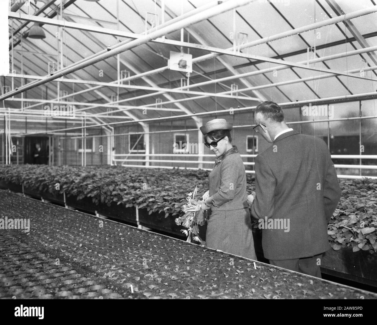 Prinzessin Margriet zu Metslawier (Friesland), Prinzessin Margriet während der Tour Datum: 22. Juni 1965 Ort: Metslawier Schlüsselwörter: Besuch, Prinzessinnen, Touren Personenname: Marguerite, Prinzessin: Bilsen, Joop van/Anefo Urheberrechtsinhaber: National Archives Materialtyp: Negativ (schwarz/weiß) Archivnummer: Siehe Zugang 2.24.01.04 Stockfoto