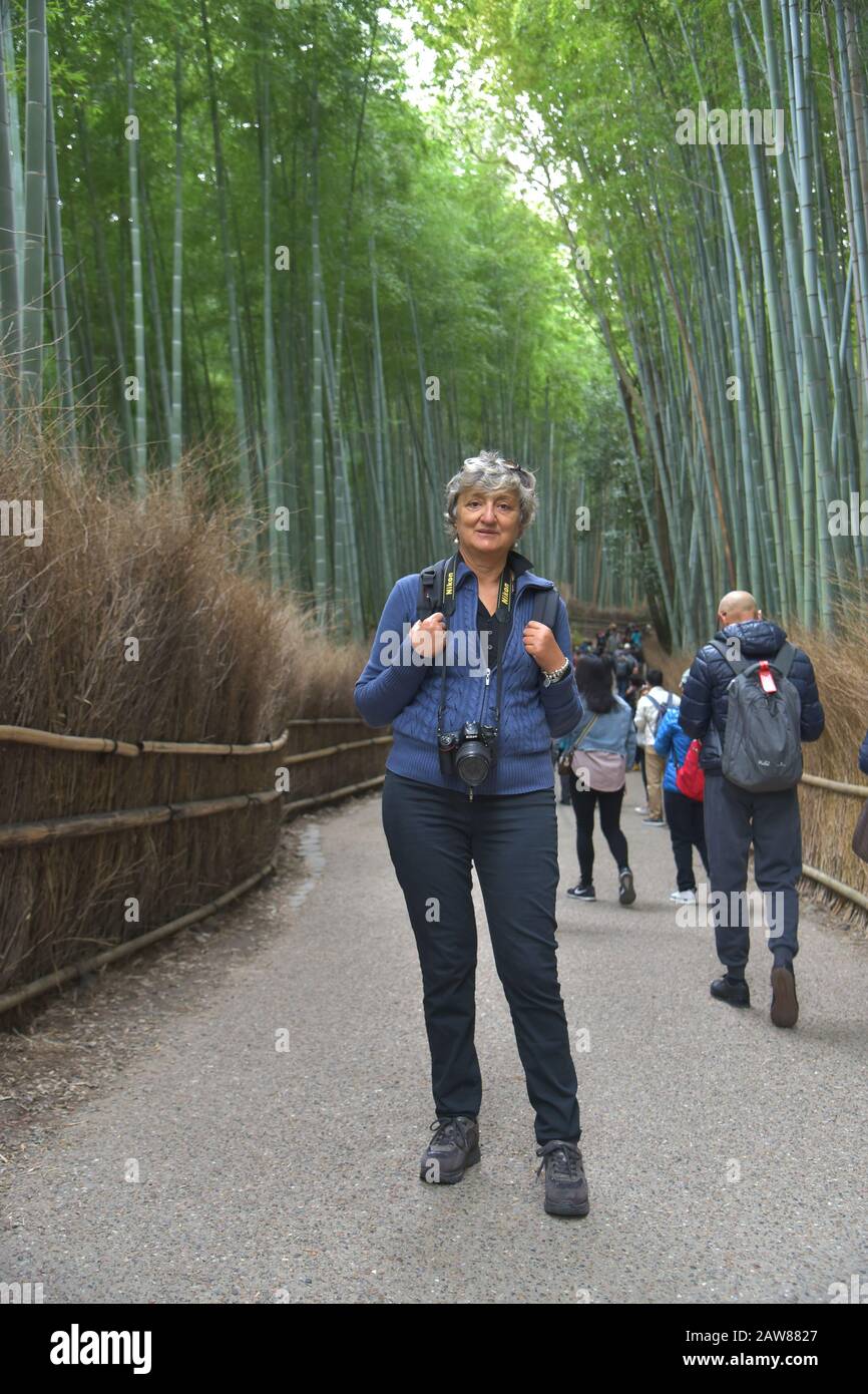Bambuswald im Wahrzeichen Japans von Kyoto Stockfoto