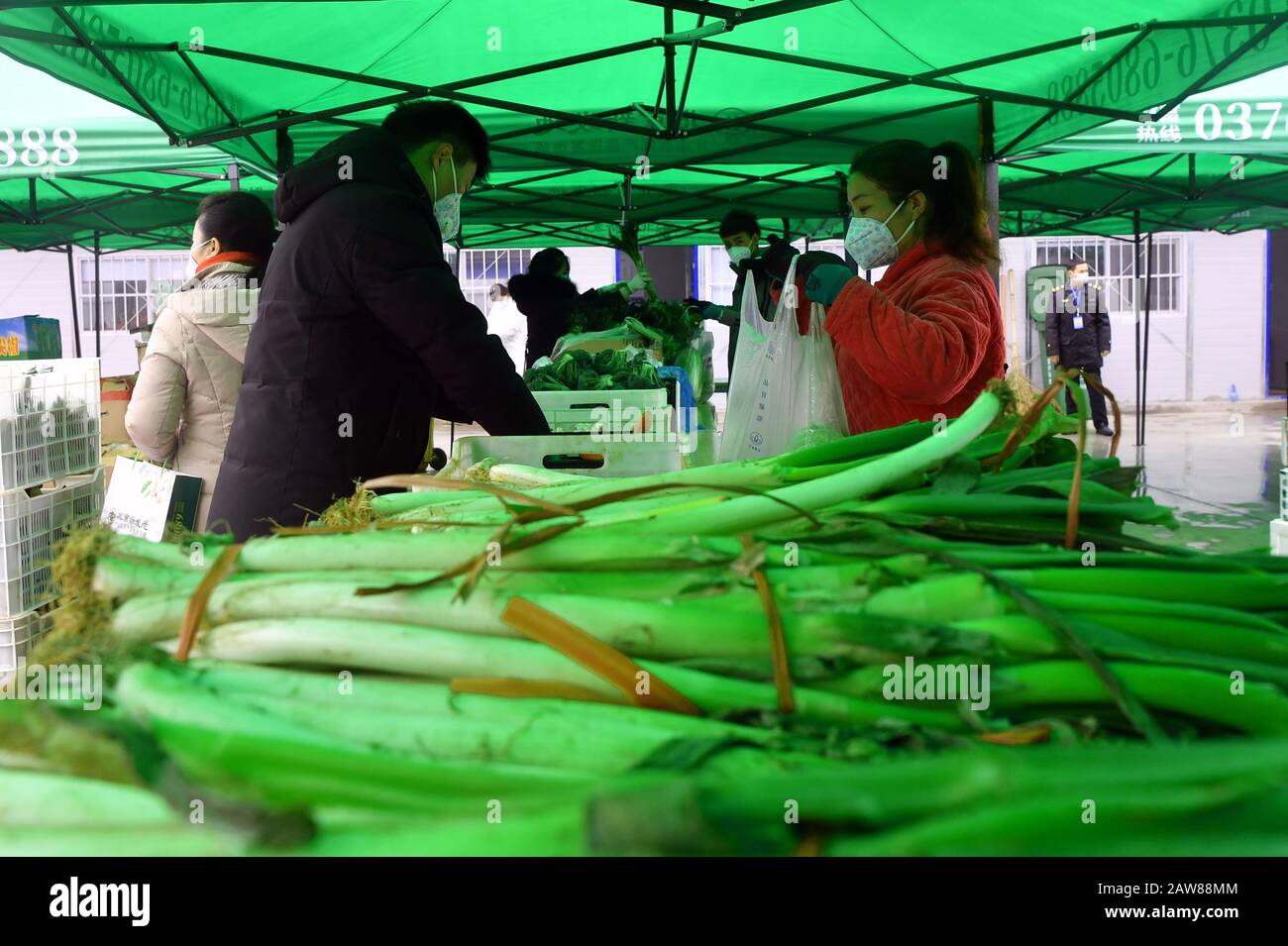 Xinyang, Chinas Provinz Henan. Februar 2020. Mitarbeiter arbeiten in einem Gemüseversandzentrum im Kreis Guangshan, der zentralchinesischen Provinz Henan, 7. Februar 2020. Das an der Grenze von Henan und Hubei gelegene Guangshan County führt im Kampf gegen die neuartige Coronavirus Epidemie strenge Präventions- und Kontrollmaßnahmen durch. Die lokalen Behörden haben Wechat-Gruppen koordiniert und eingerichtet, um die Versorgung mit Gemüse auf der Grundlage bestimmter Anforderungen zu ermöglichen. Kredit: Li Jianan/Xinhua/Alamy Live News Stockfoto