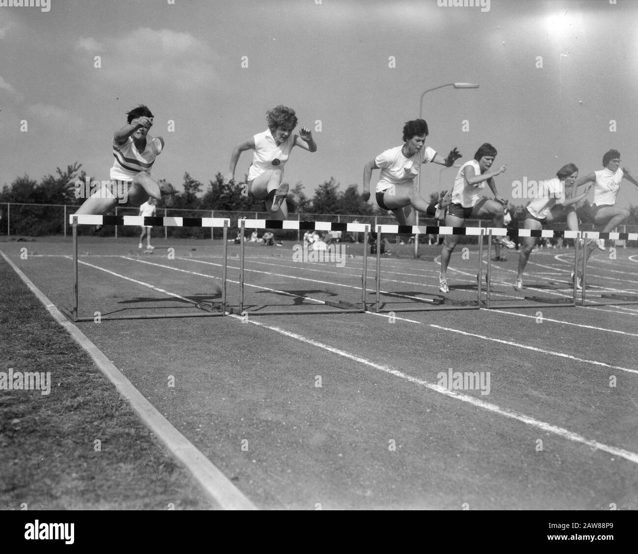 Leichtathletik-Nationalspiele in Haarlem, 80 Meter Hord Damen v.l. Van Zanten, De Raadt Van Slooten, Hang Hope, Pena Ore, Hessels Datum: 21. August 1966 Ort: Haarlem Schlagwörter: Leichtathletik-Rennen, Hürden Stockfoto