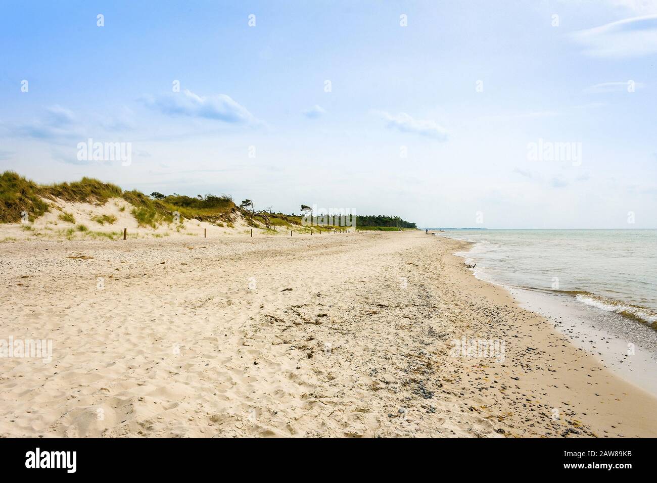 Strand am Darßer Ort, Halbinsel Fischland-Darß-Zingst Stockfoto