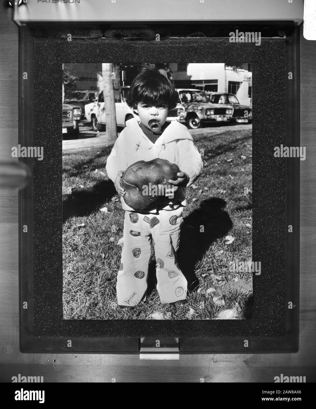 Baby mit Riesenkartoffel von 2 Kilo und 2 Unzen Datum: 5. Dezember 1977 Schlagwörter: Kartoffeln, Kinder Stockfoto