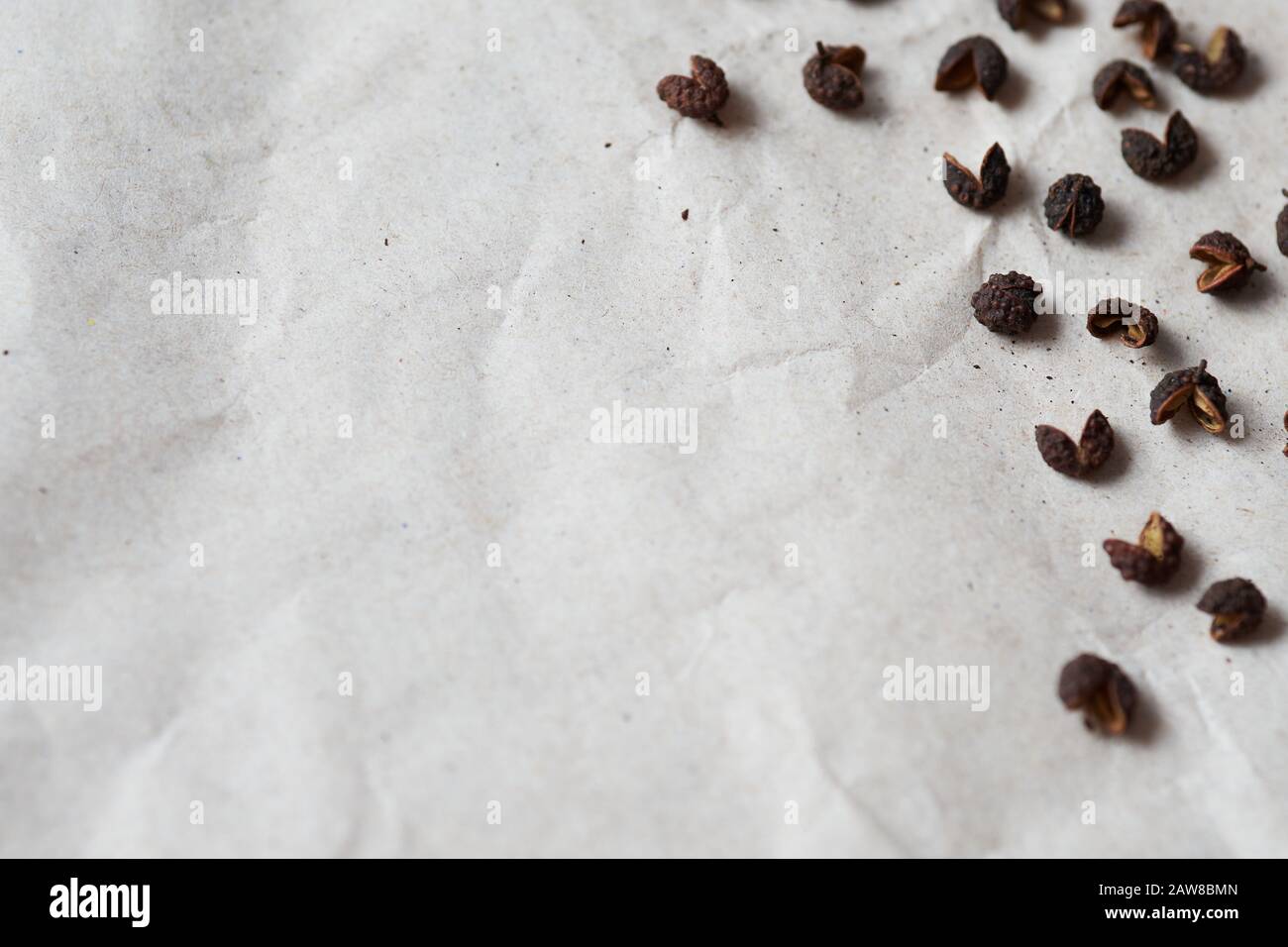 Makrofotografie von Timut Pepper (Zanthoxylum armatum), aus derselben Familie wie Sichuan Pepper. Dieses Gewürz bietet einen sehr aromatischen Geschmack in der Nähe Stockfoto