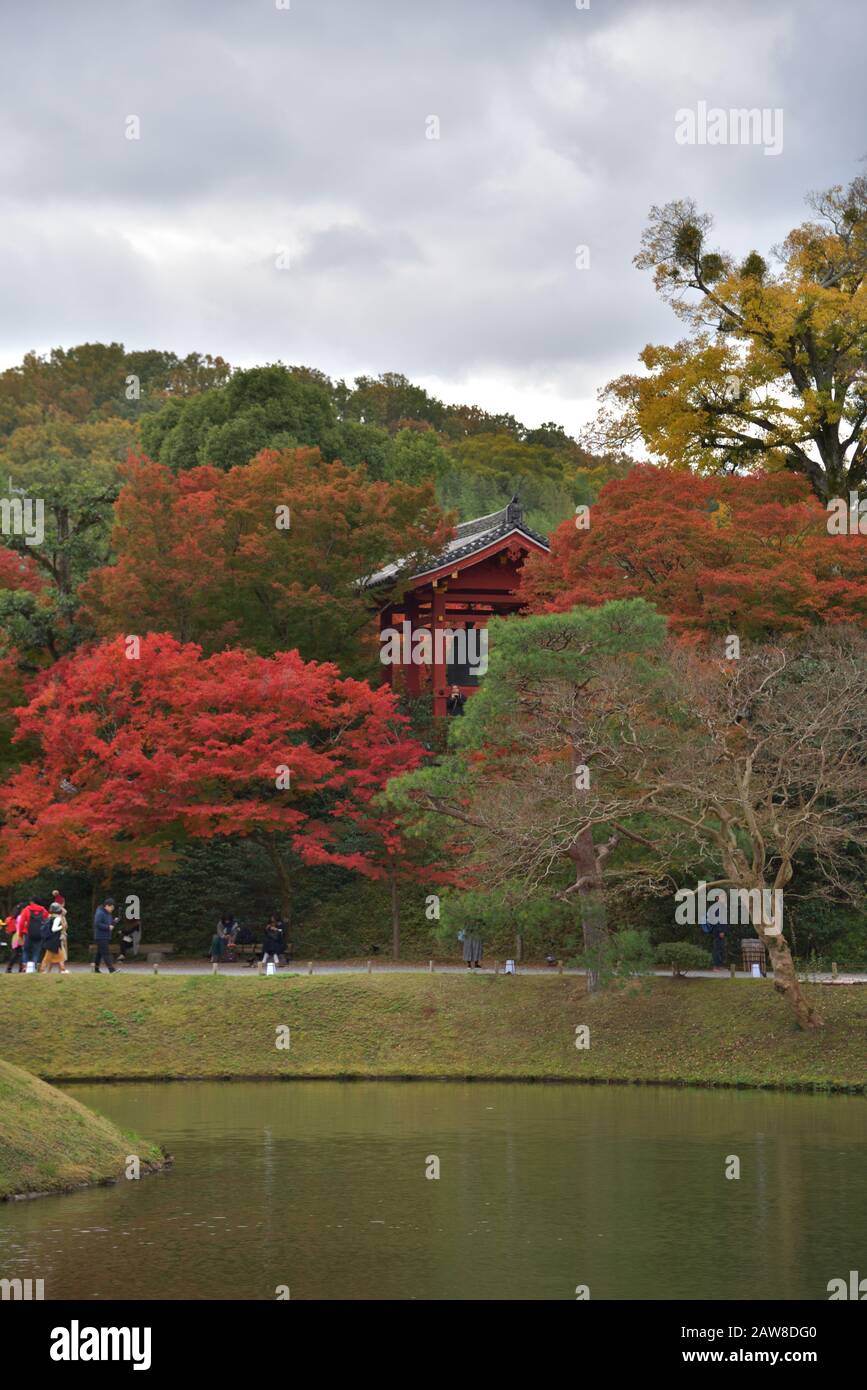 Byodo-in-Tempel (Phoenix Hall) in Uji, Kyoto Stockfoto
