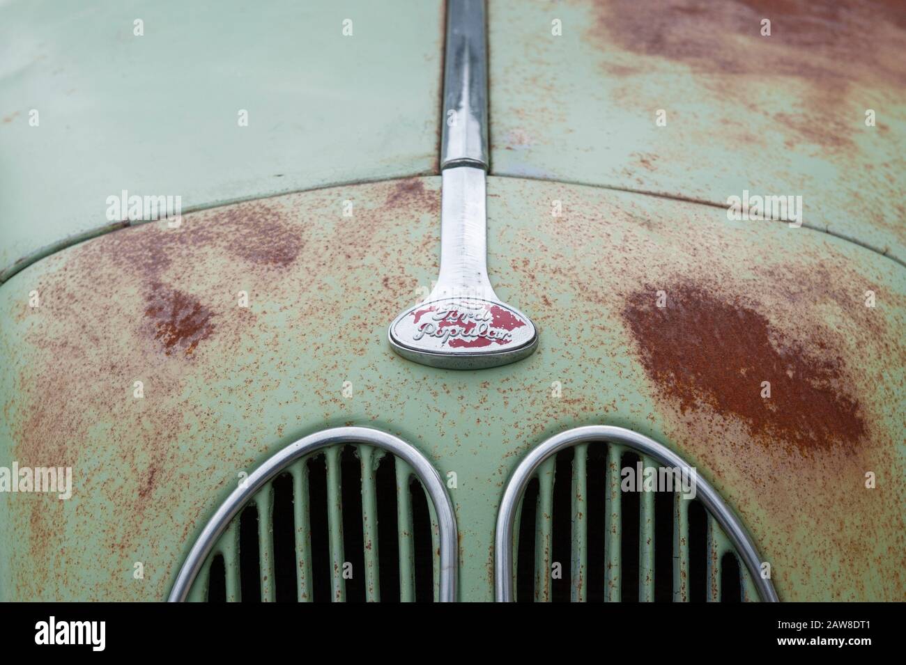 In den 1950er Jahren wurden rauste Details der Haube/Motorhaube einer alten beliebten zweitürigen Ford 103E-Limousine von 1953 bis 1959 hergestellt Stockfoto