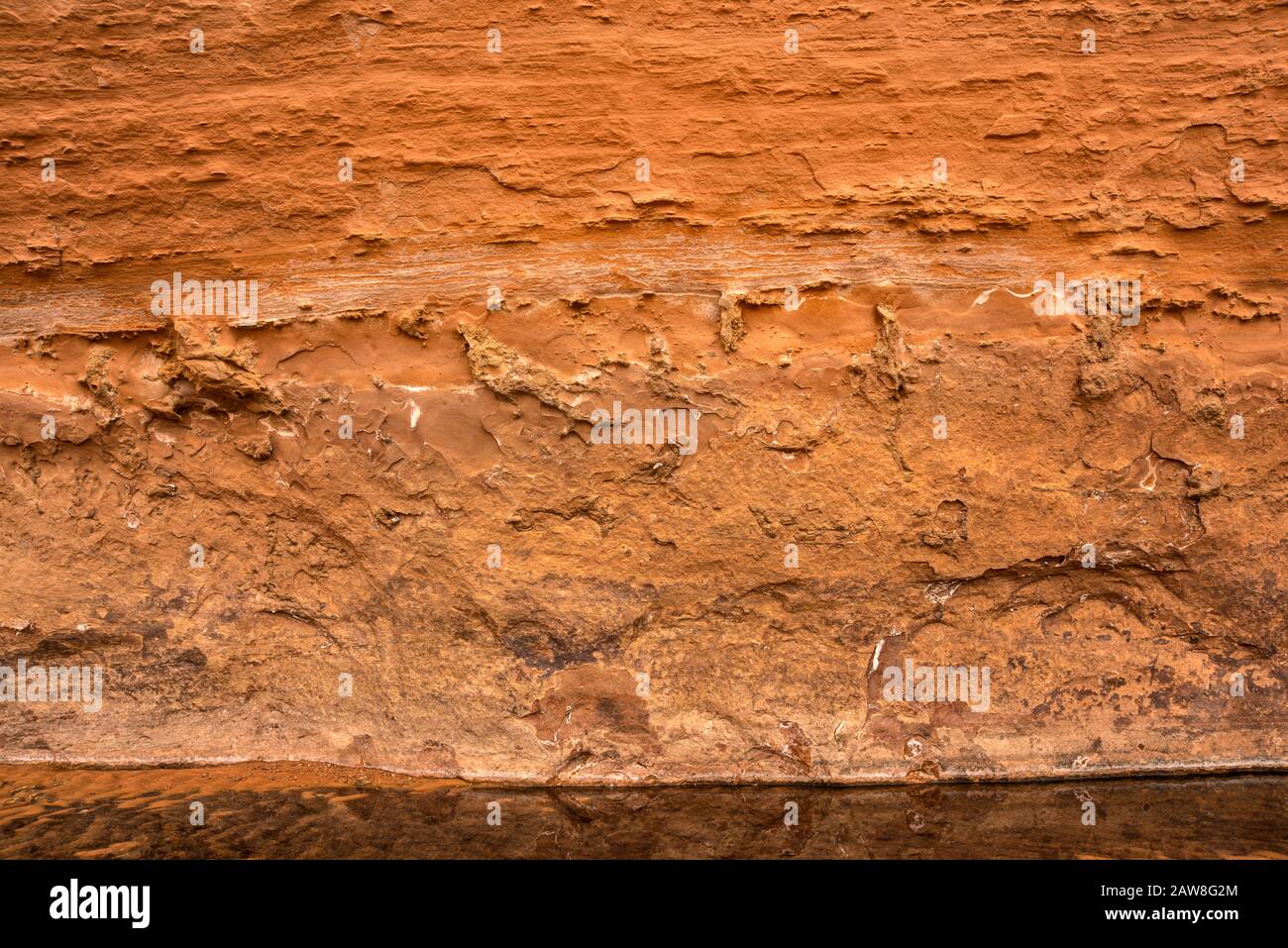 Details der Sandsteinmauer über dem Bach im Horseshoe Canyon, Canyonlands National Park, Utah, USA Stockfoto