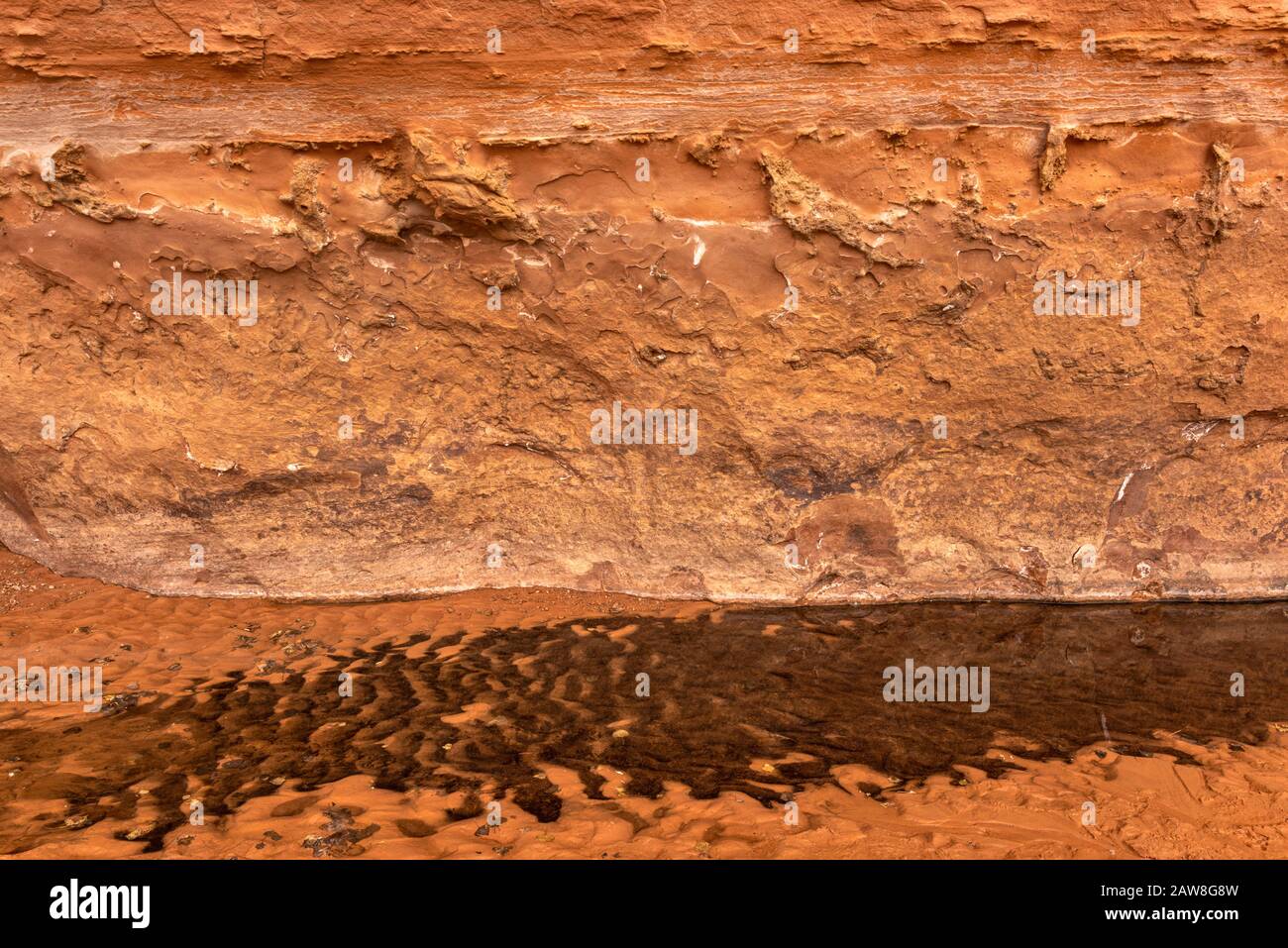 Details der Sandsteinmauer über dem Bach im Horseshoe Canyon, Canyonlands National Park, Utah, USA Stockfoto