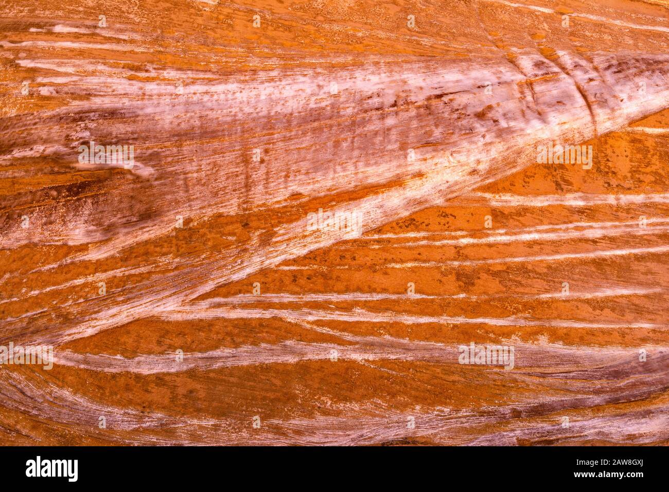 Crossbetting-Technologie an der Felswand der Capitol Gorge, Canyon im Capitol Reef National Park, Colorado Plateau, Utah, USA Stockfoto