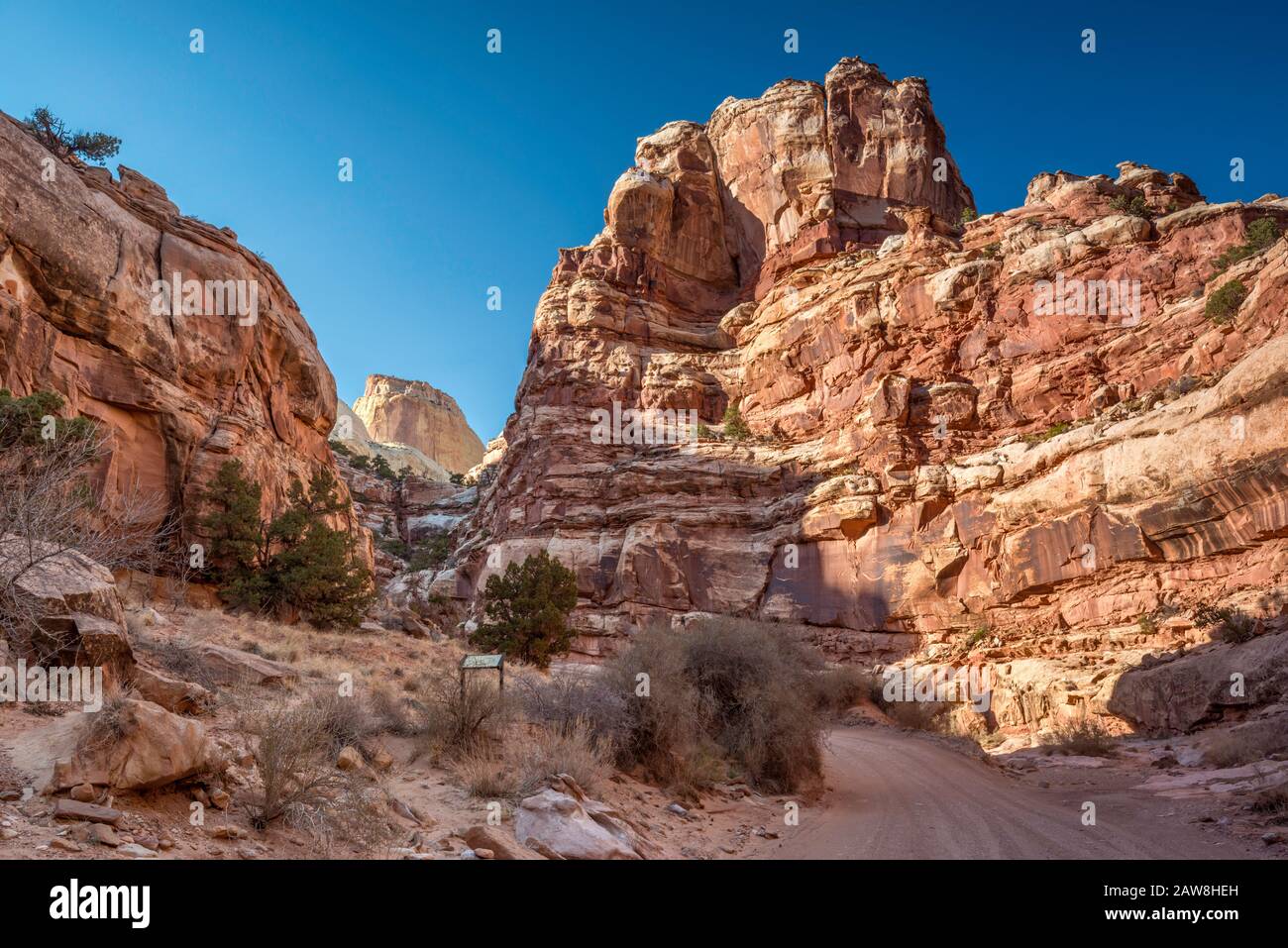 Klippen in der Capitol Gorge, Canyon im Capitol Reef National Park, Golden Throne Formation in Distance, Colorado Plateau, Utah, USA Stockfoto