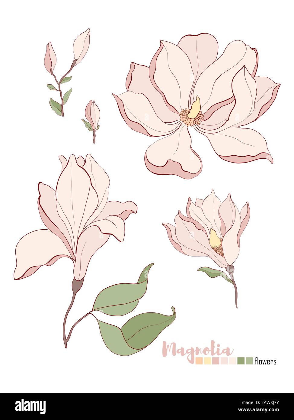 Vector Design Elementsatz. Hochzeitsvektor lädt Karte ein. Stock Vektor