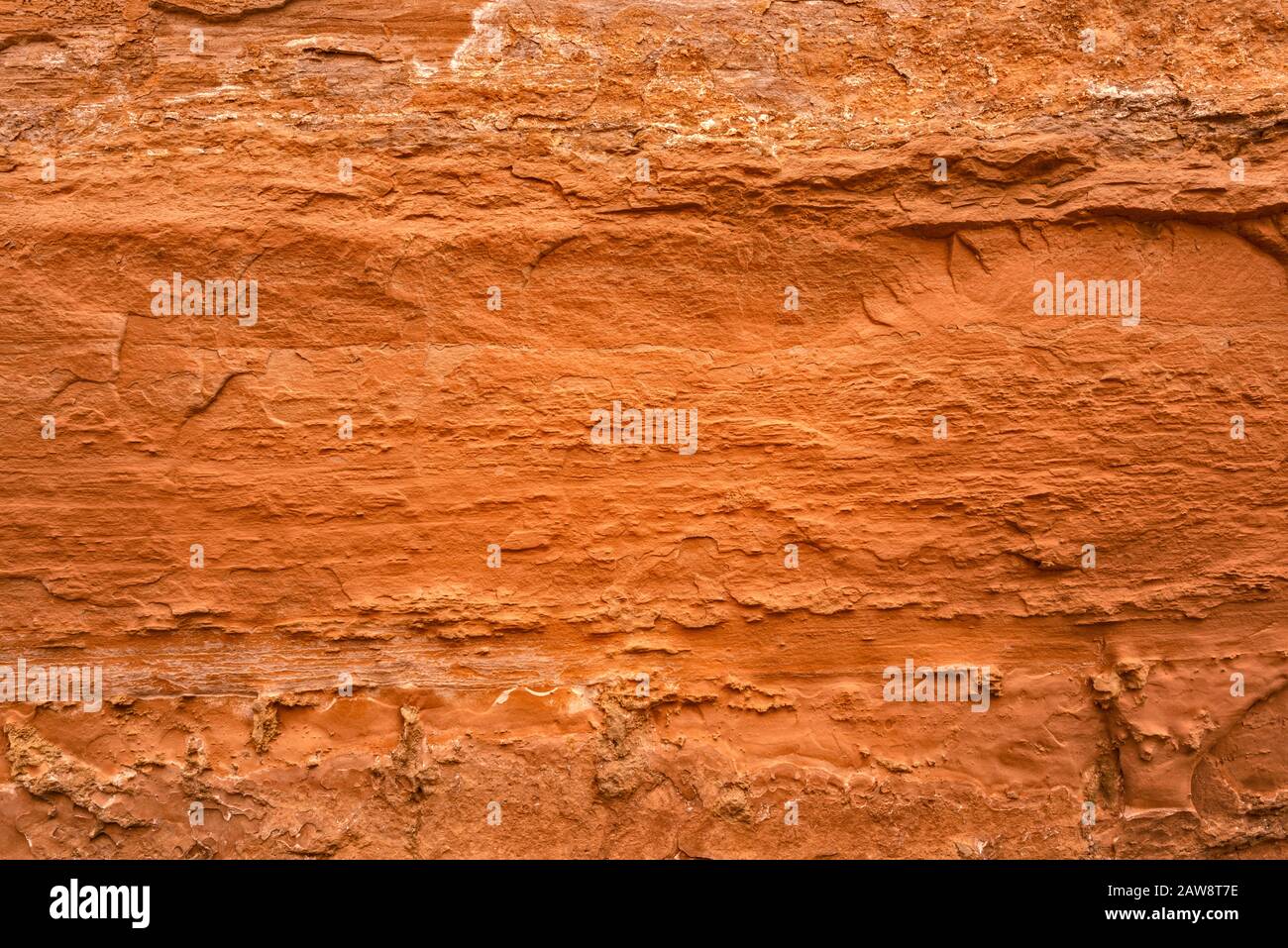 Details zur Sandsteinmauer im Horseshoe Canyon, Canyonlands National Park, Utah, USA Stockfoto