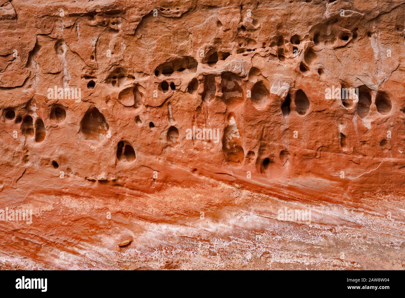 Details zur Sandsteinmauer im Horseshoe Canyon, Canyonlands National Park, Utah, USA Stockfoto