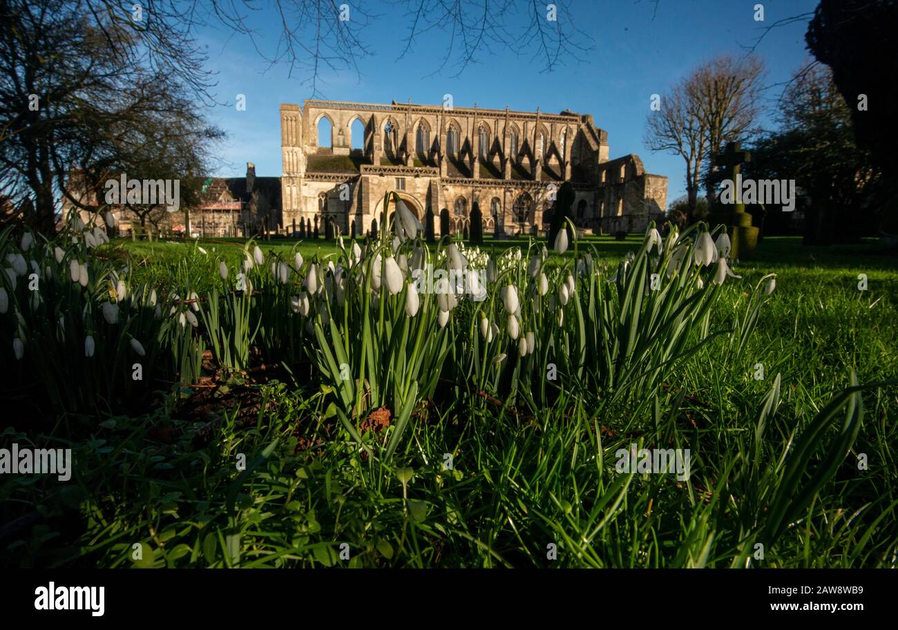 Zeichen des Frühlings in der Malmesbury Abbey mit Schneefällen Stockfoto