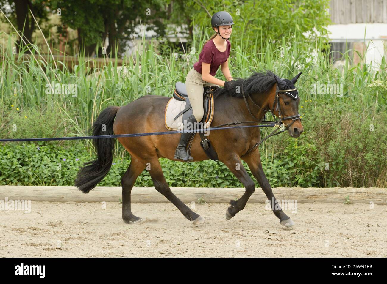 Ausfallschritt Reitstunde, Mädchen auf deutschem Pony Stockfoto
