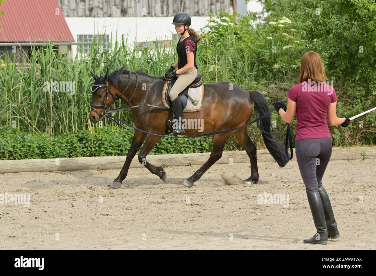 Ausfallstunde, Mädchen mit Helm und Rückenprotektor auf deutschem Pony reiten Stockfoto