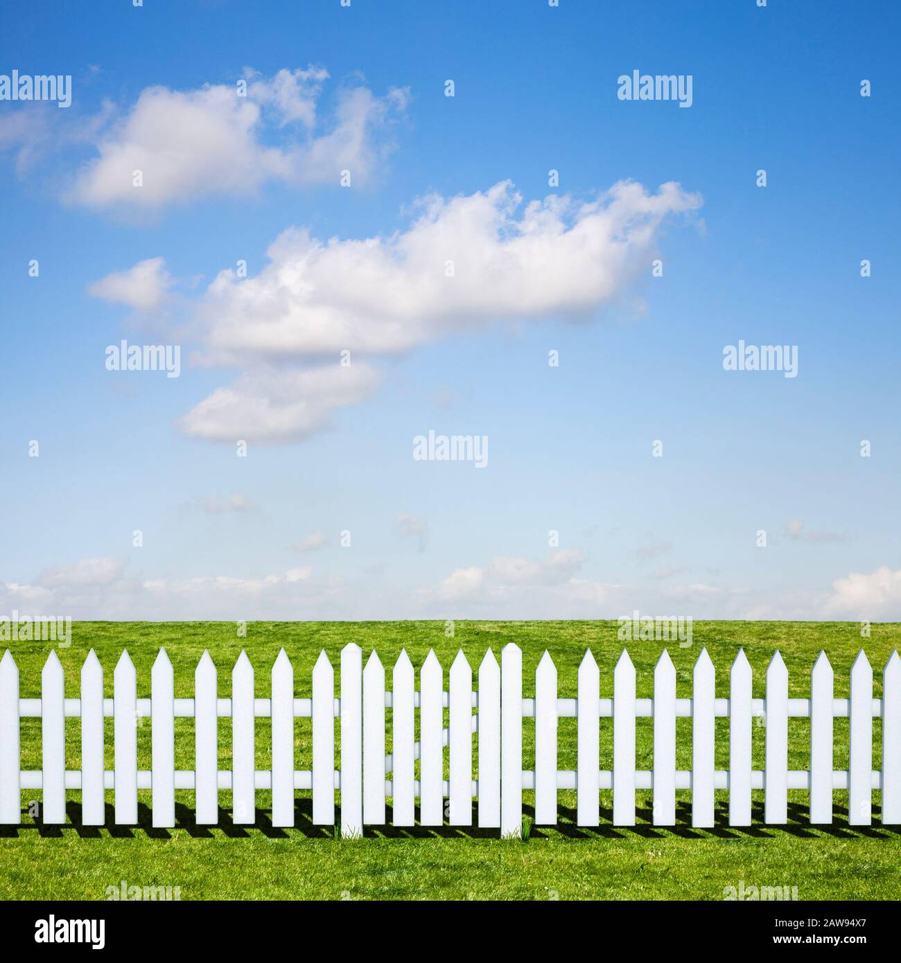 Ein weißer Dickdarmzaun und ein geschlossenes Tor, das im Sommer zu einem schönen grünen Feld und blauem Himmel führt Stockfoto